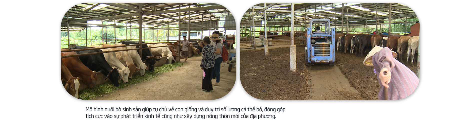 Tạo sinh kế cho phụ nữ vùng biên giới Tây Ninh - 9