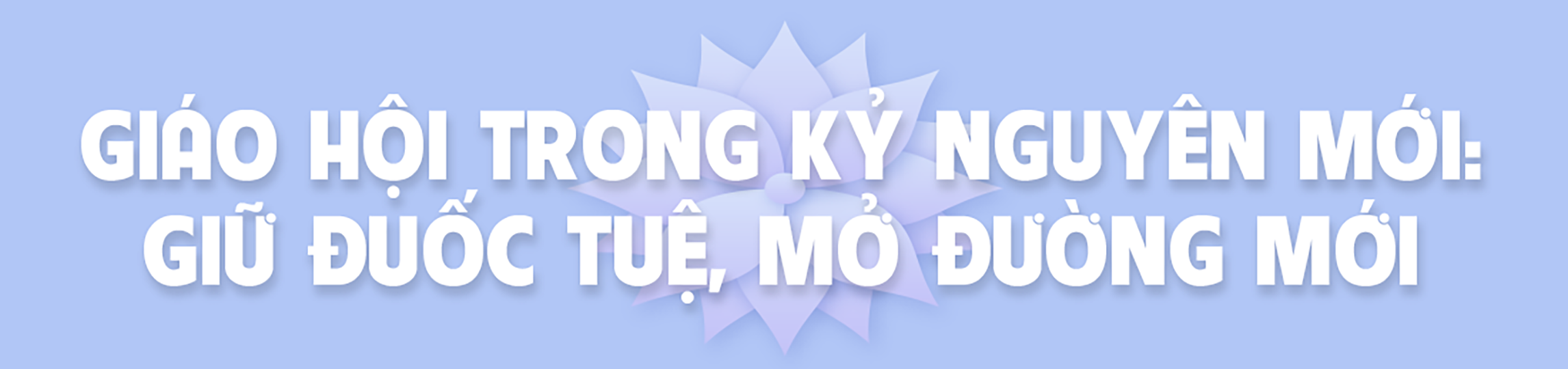 Phật giáo Việt Nam vững bước vào kỷ nguyên mới - 22