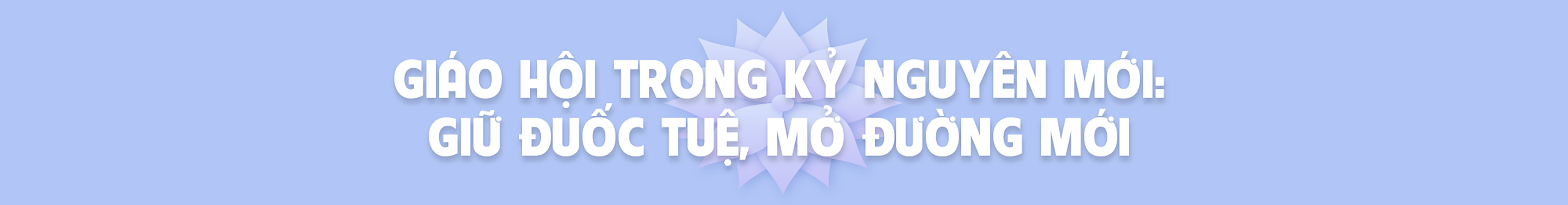 Phật giáo Việt Nam vững bước vào kỷ nguyên mới - 21