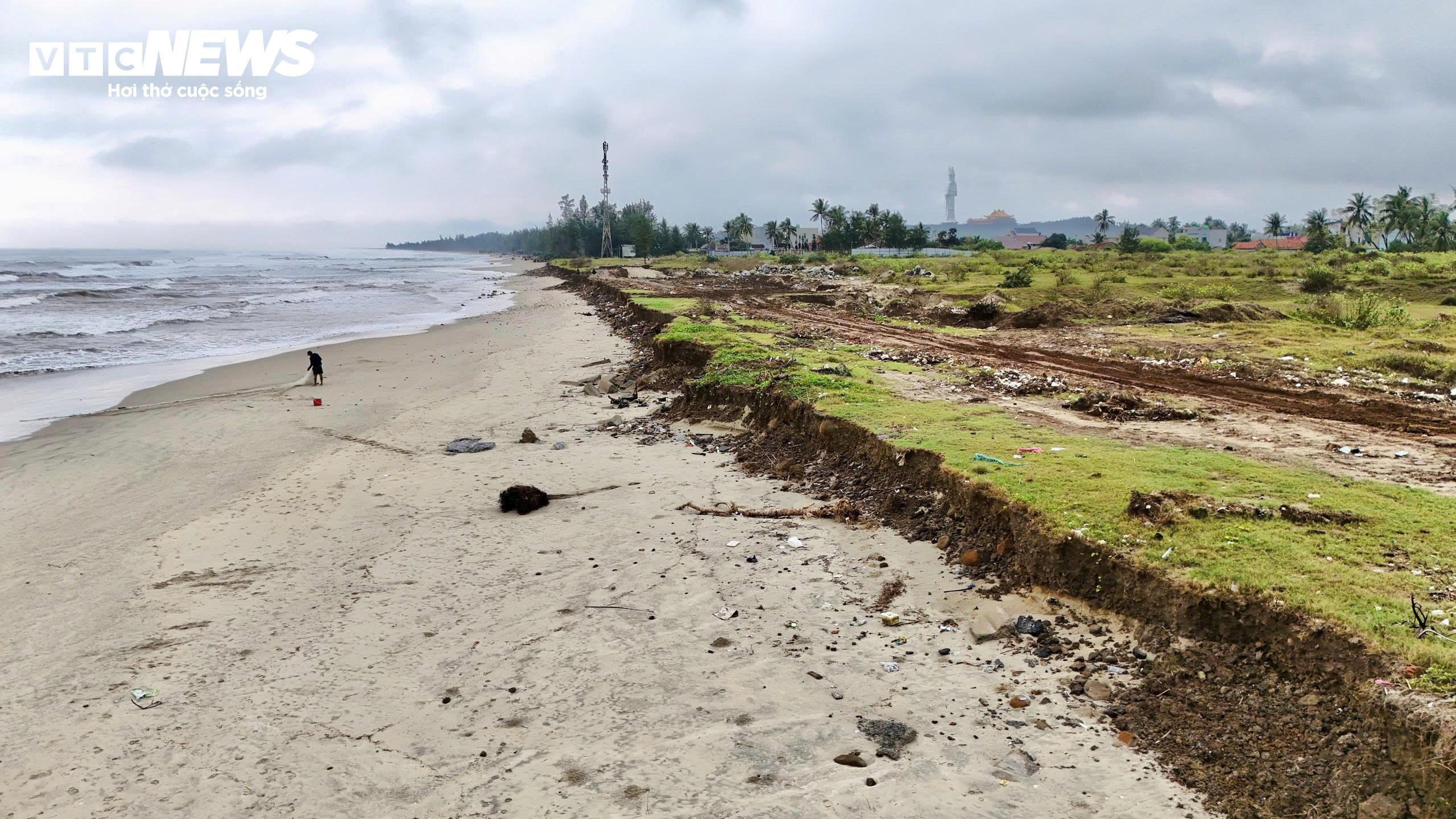 Sóng 'ngoạm' bật gốc phi lao, phá tan hoang bãi biển đẹp nhất Quảng Ngãi - 8