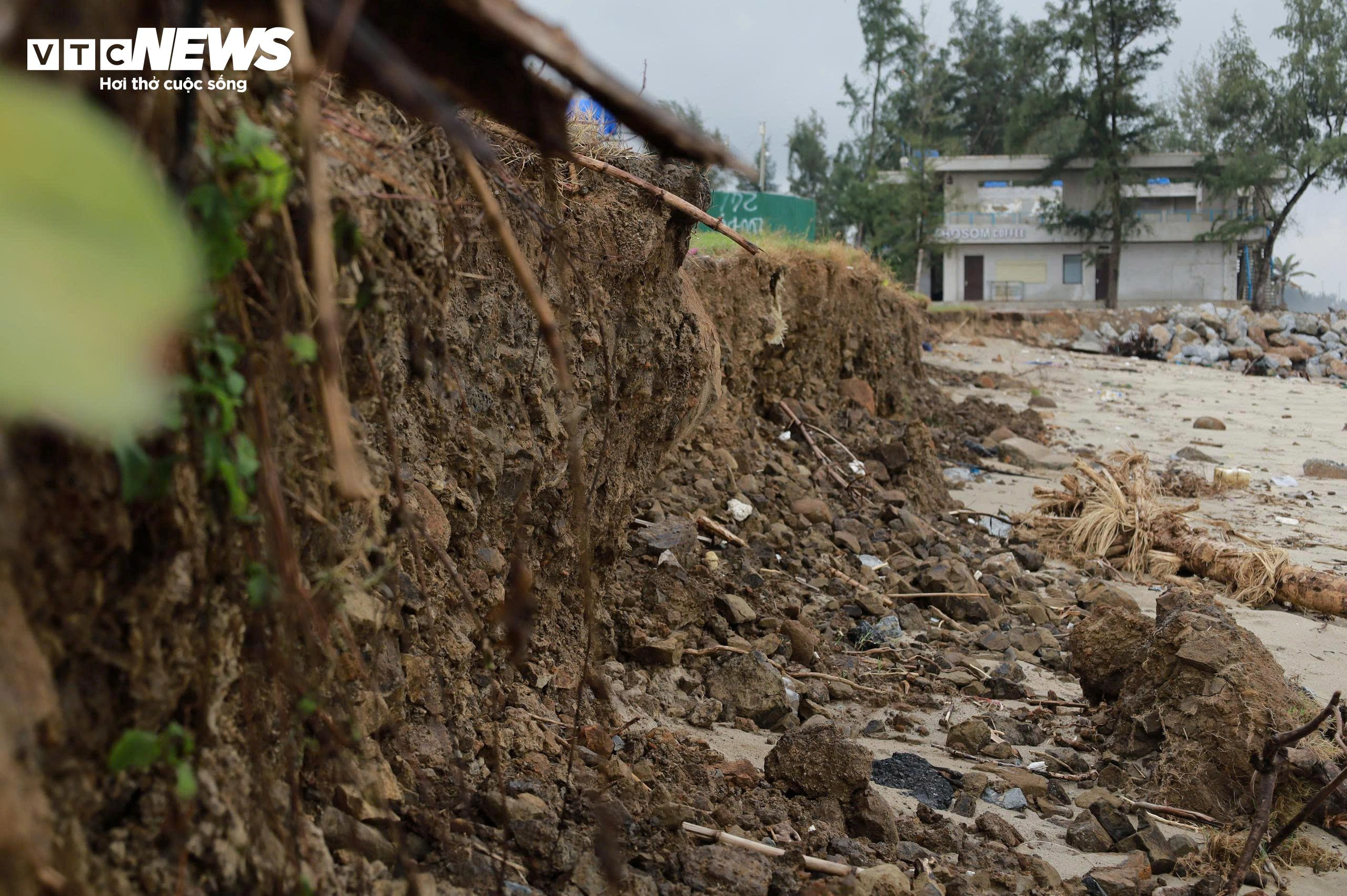 Sóng 'ngoạm' bật gốc phi lao, phá tan hoang bãi biển đẹp nhất Quảng Ngãi - 2