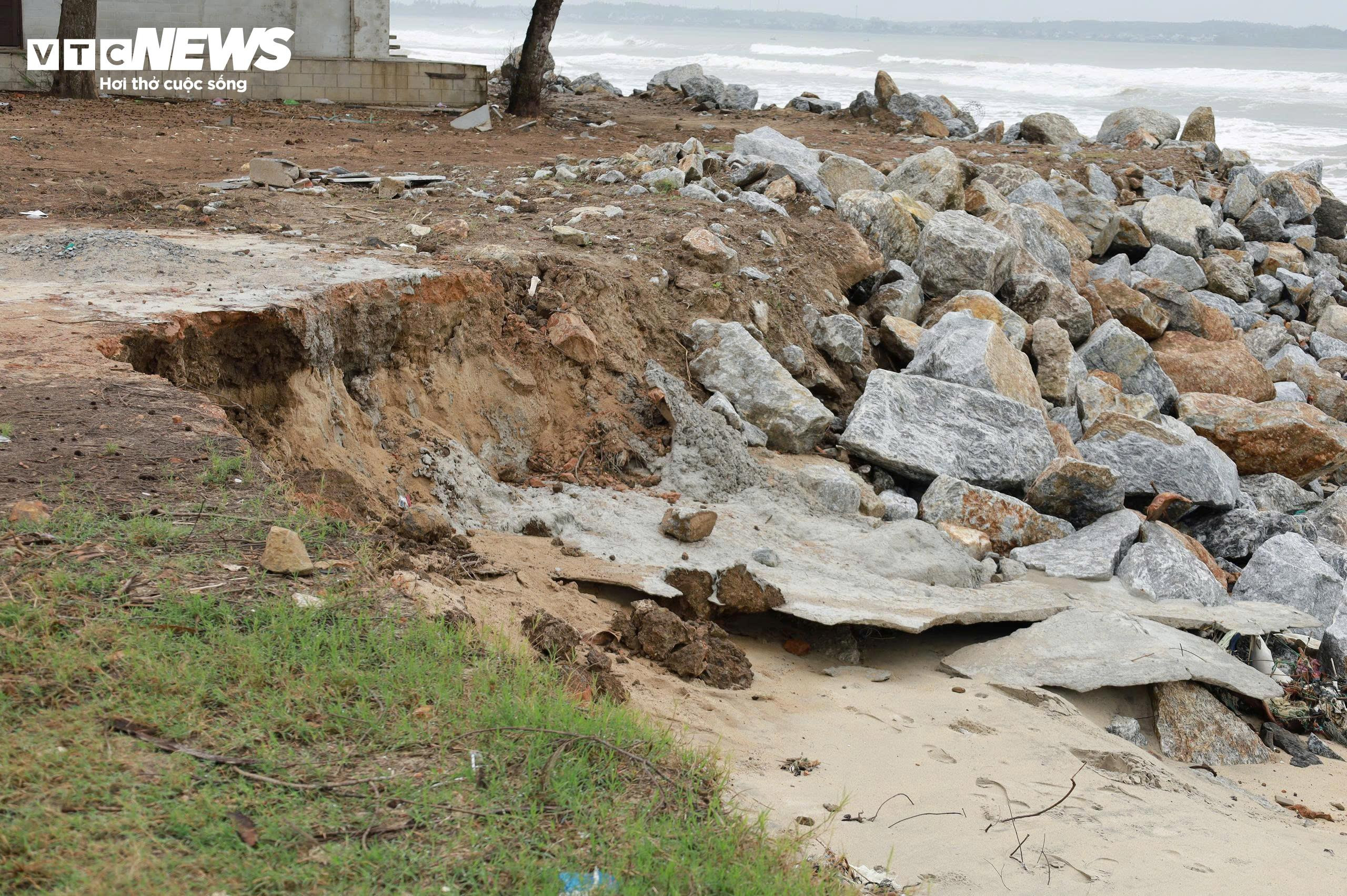 Sóng 'ngoạm' bật gốc phi lao, phá tan hoang bãi biển đẹp nhất Quảng Ngãi - 3