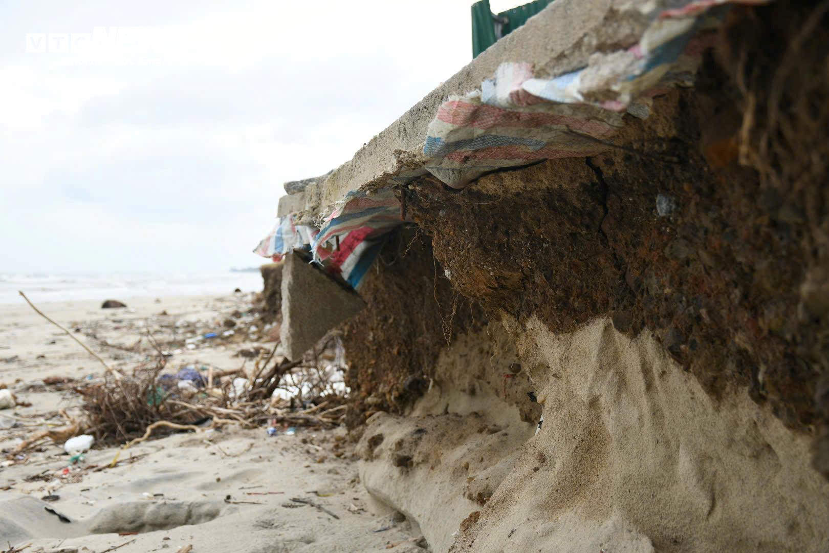 Sóng 'ngoạm' bật gốc phi lao, phá tan hoang bãi biển đẹp nhất Quảng Ngãi - 4