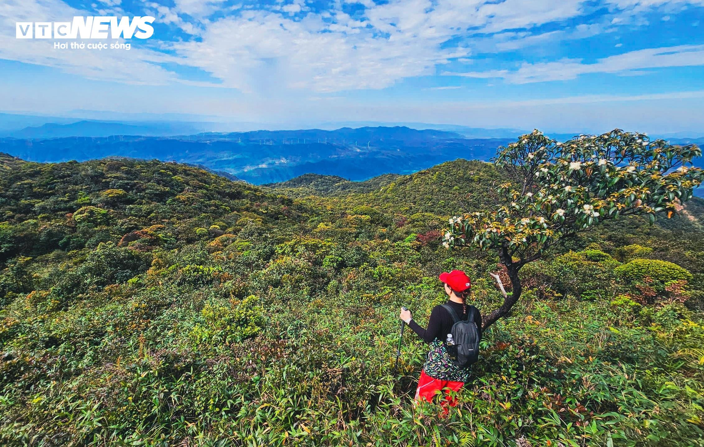 'Săn mây', ngắm cảnh đẹp hoang sơ trên 'nóc nhà' Quảng Trị ở dãy Trường Sơn - 5