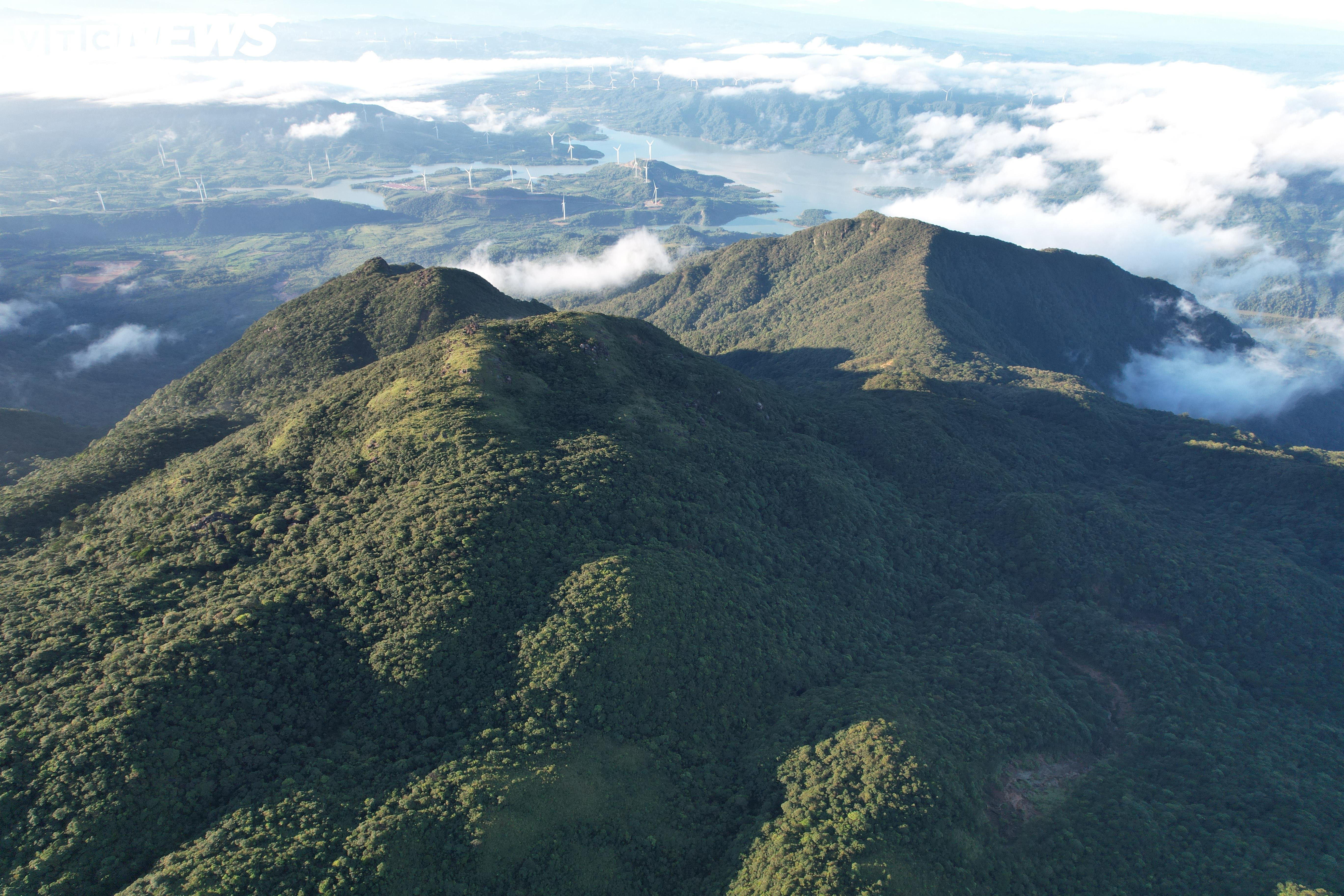 'Săn mây', ngắm cảnh đẹp hoang sơ trên 'nóc nhà' Quảng Trị ở dãy Trường Sơn - 1