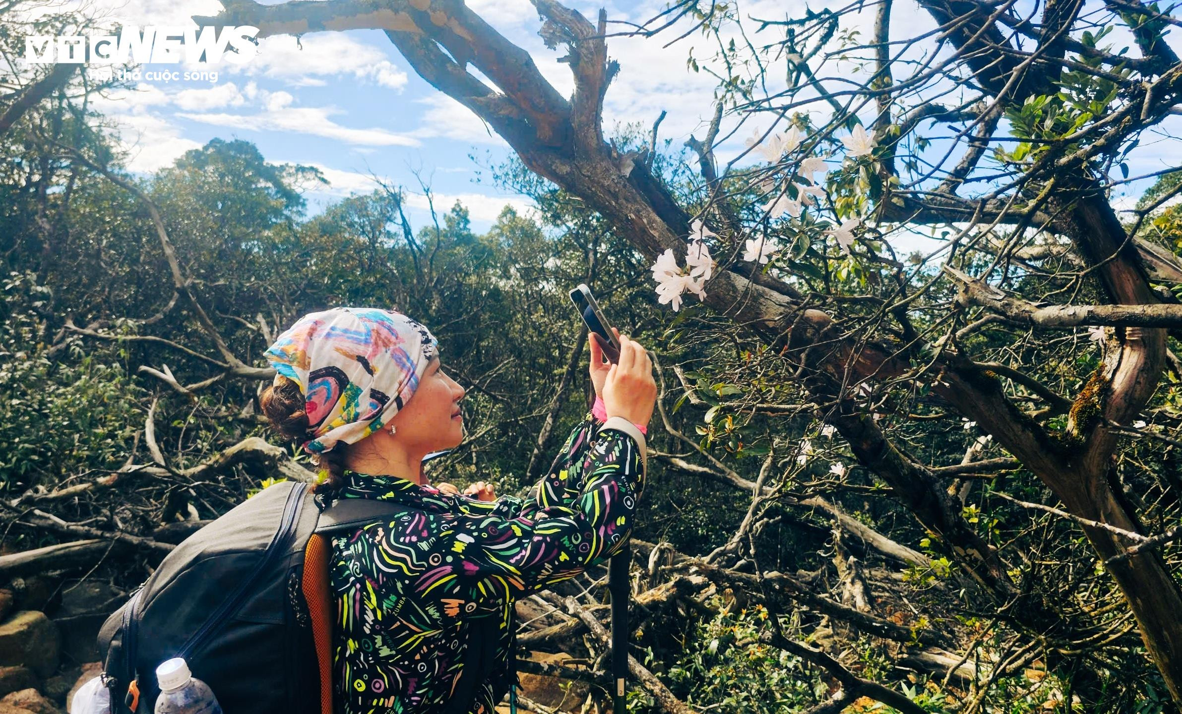 'Săn mây', ngắm cảnh đẹp hoang sơ trên 'nóc nhà' Quảng Trị ở dãy Trường Sơn - 4