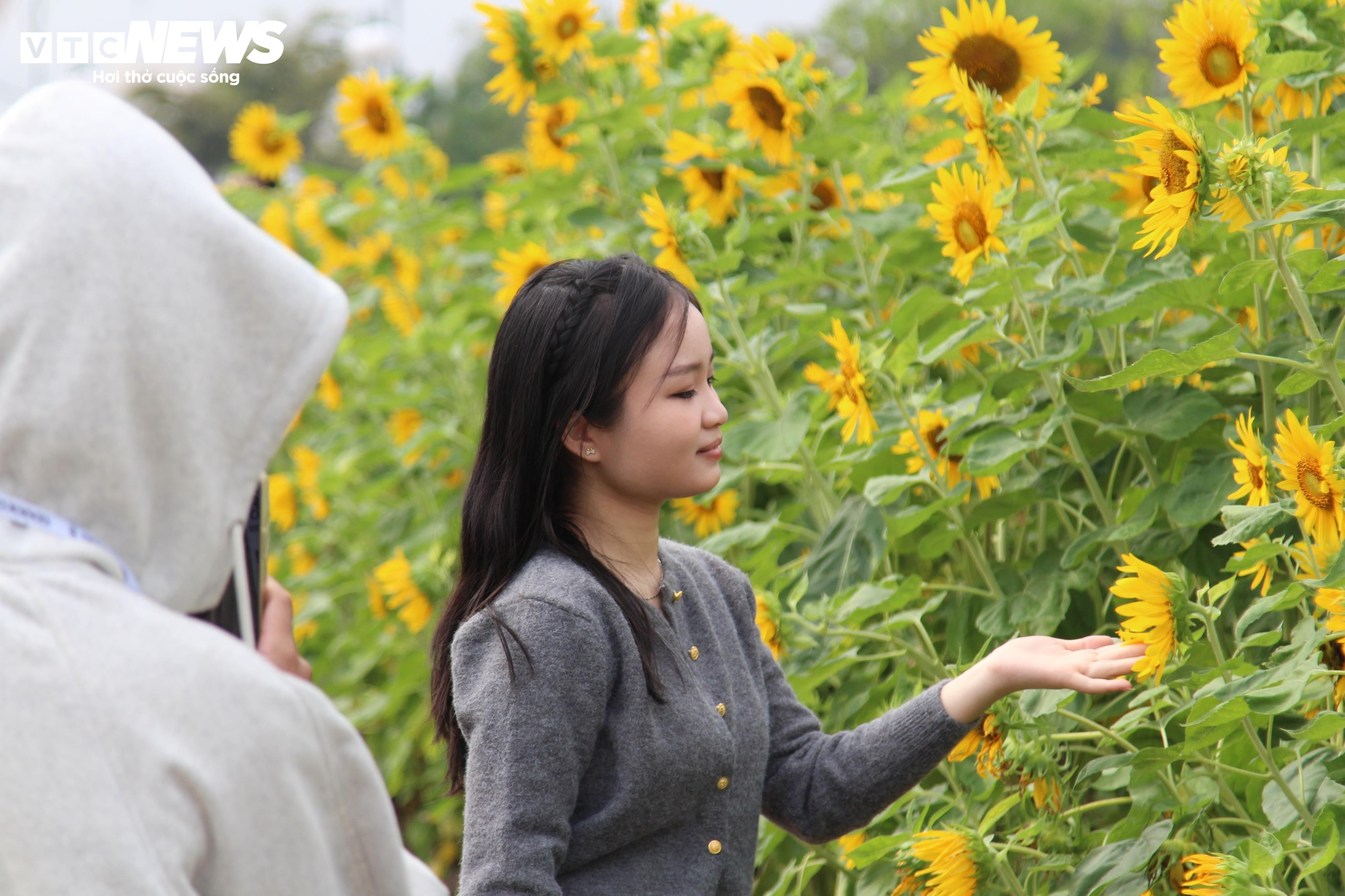 Sắc xuân ngập tràn từ vườn hoa ga Ba Son đến bờ sông Sài Gòn - 8