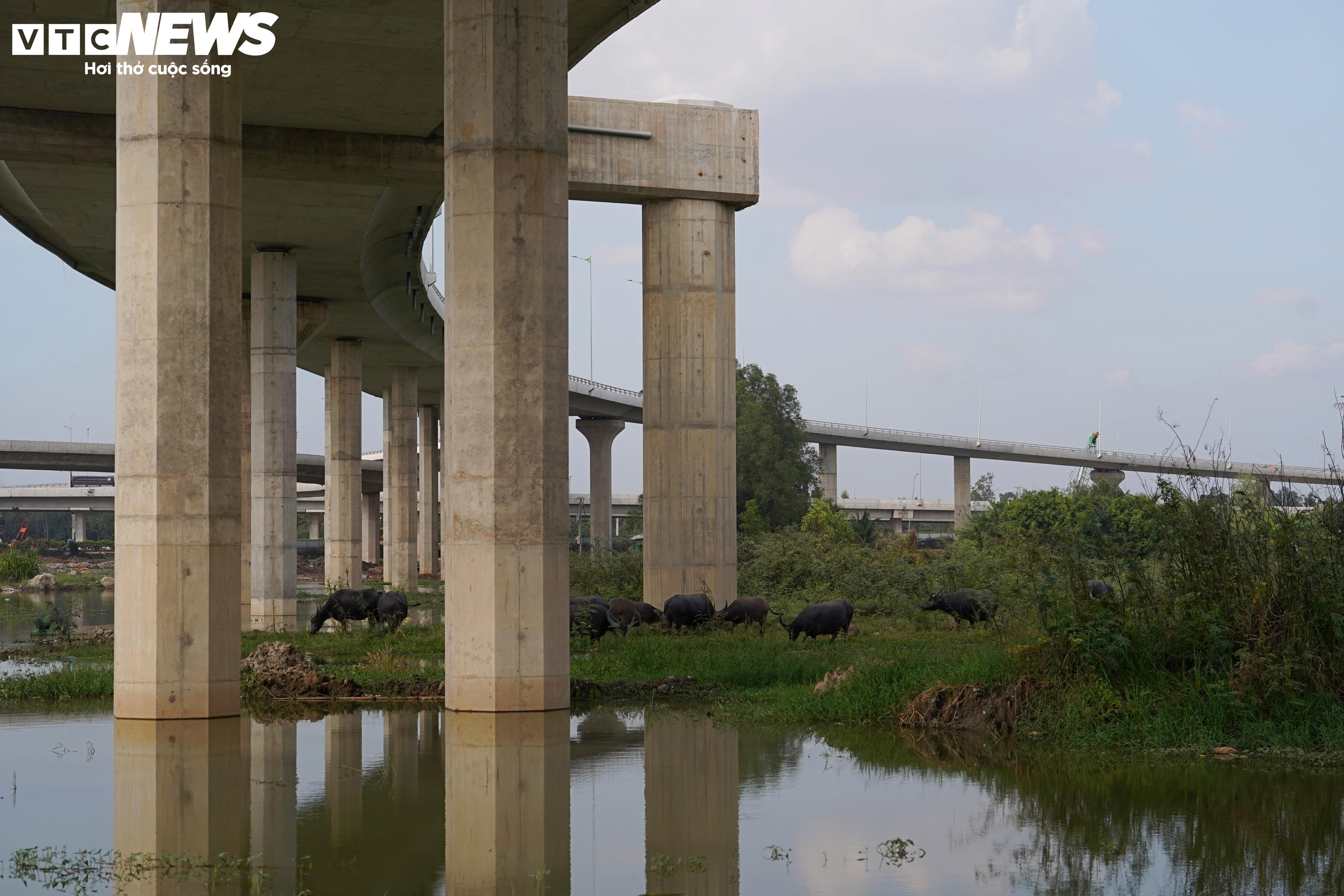 Hai siêu nút giao nối cao tốc với sân bay Long Thành tăng tốc về đích - 5