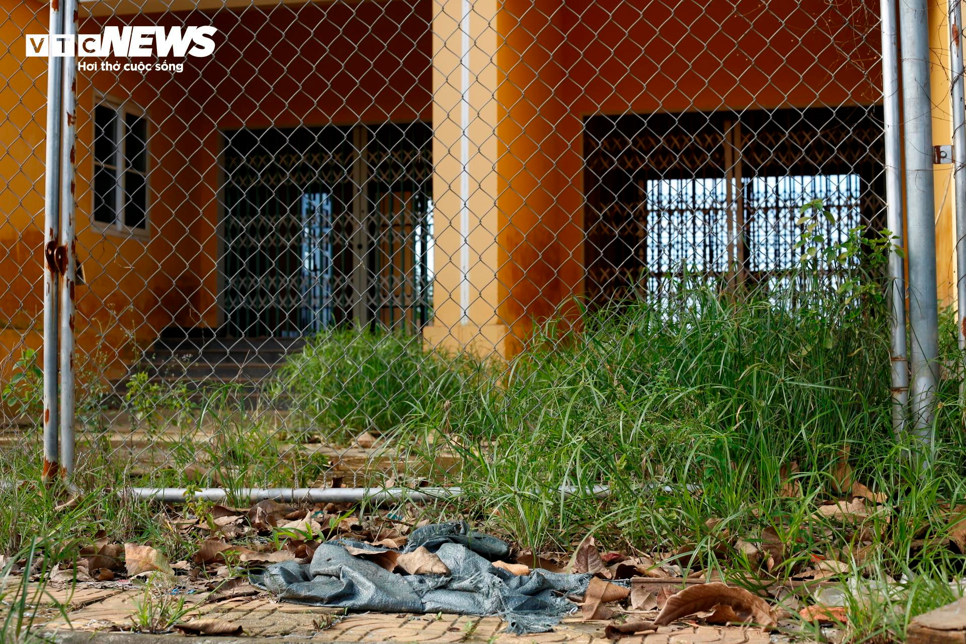 Bên trong chung cư 'ma' bỏ hoang hơn thập kỷ ở Huế - 1