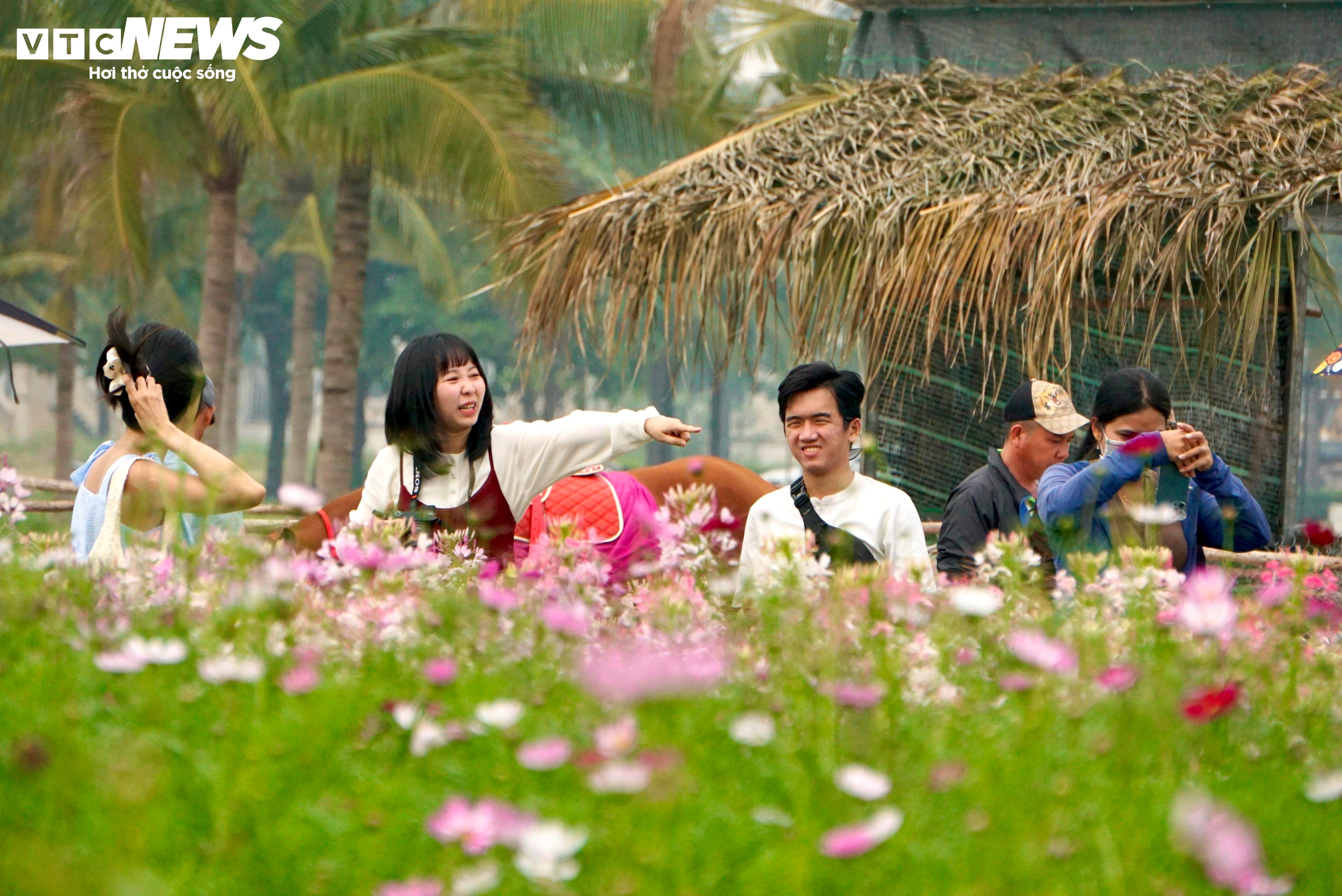 Người dân 'lên đồ' check-in vườn hoa Tết ở TP.HCM - 6