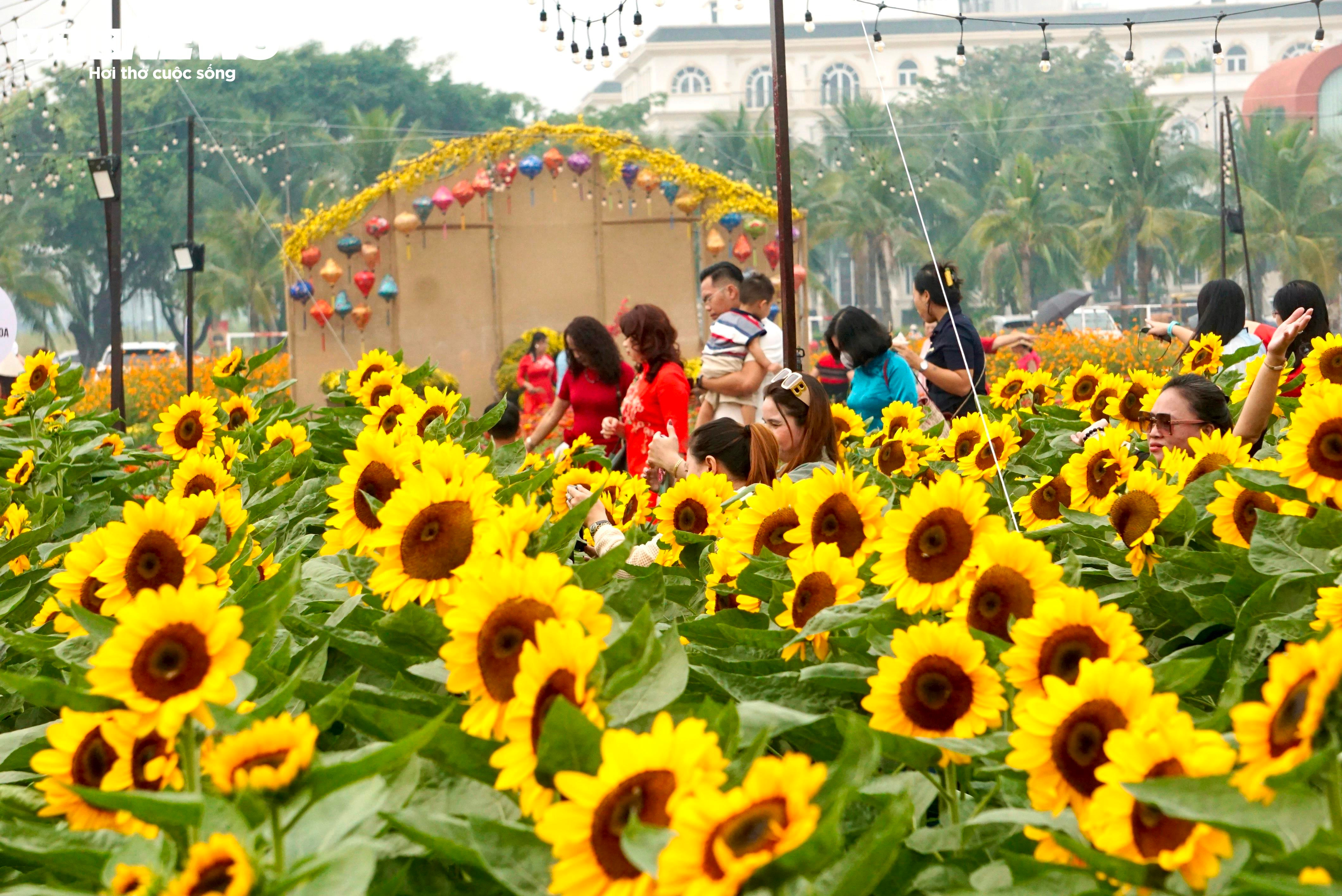 Người dân 'lên đồ' check-in vườn hoa Tết ở TP.HCM - 14