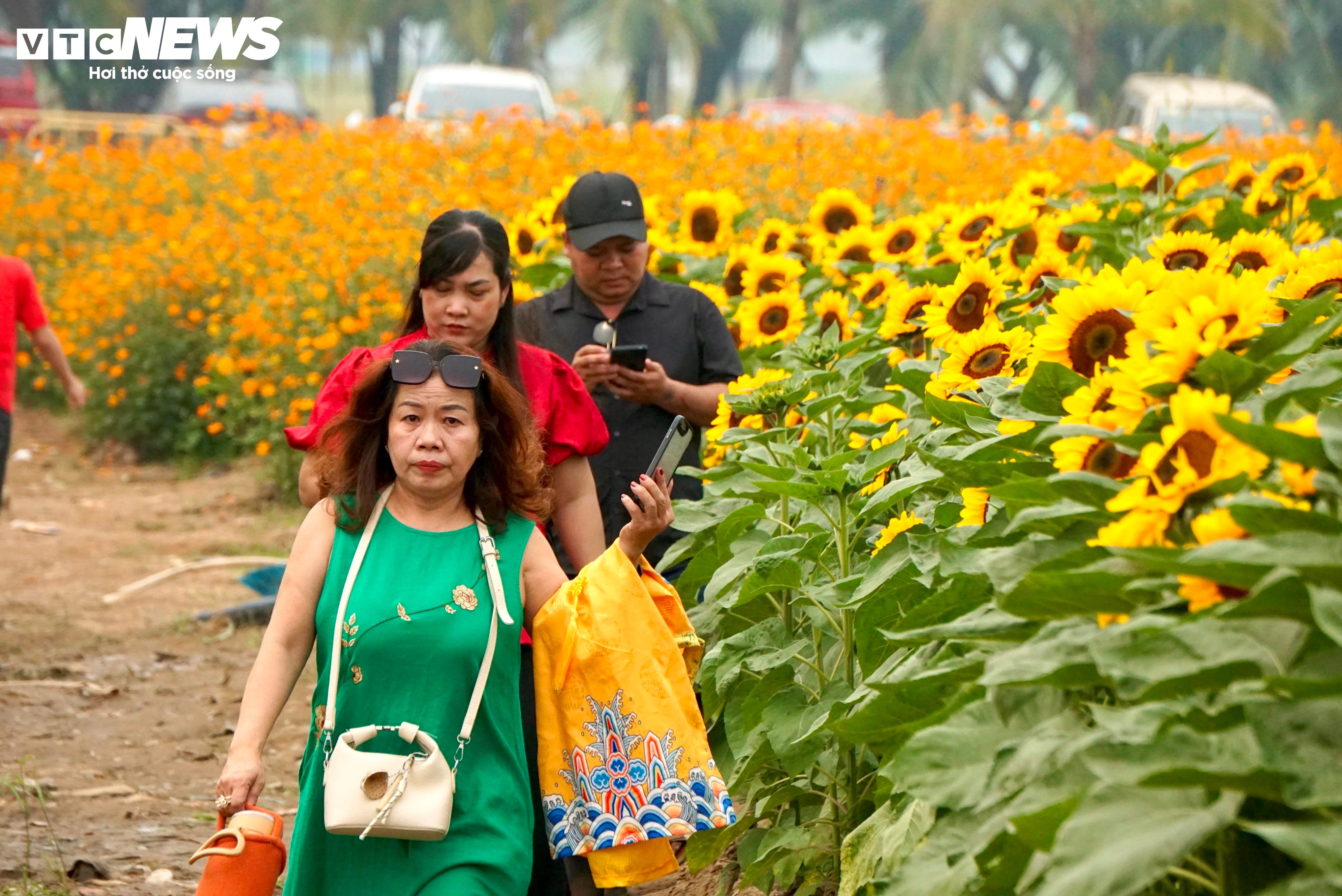 Người dân 'lên đồ' check-in vườn hoa Tết ở TP.HCM - 2
