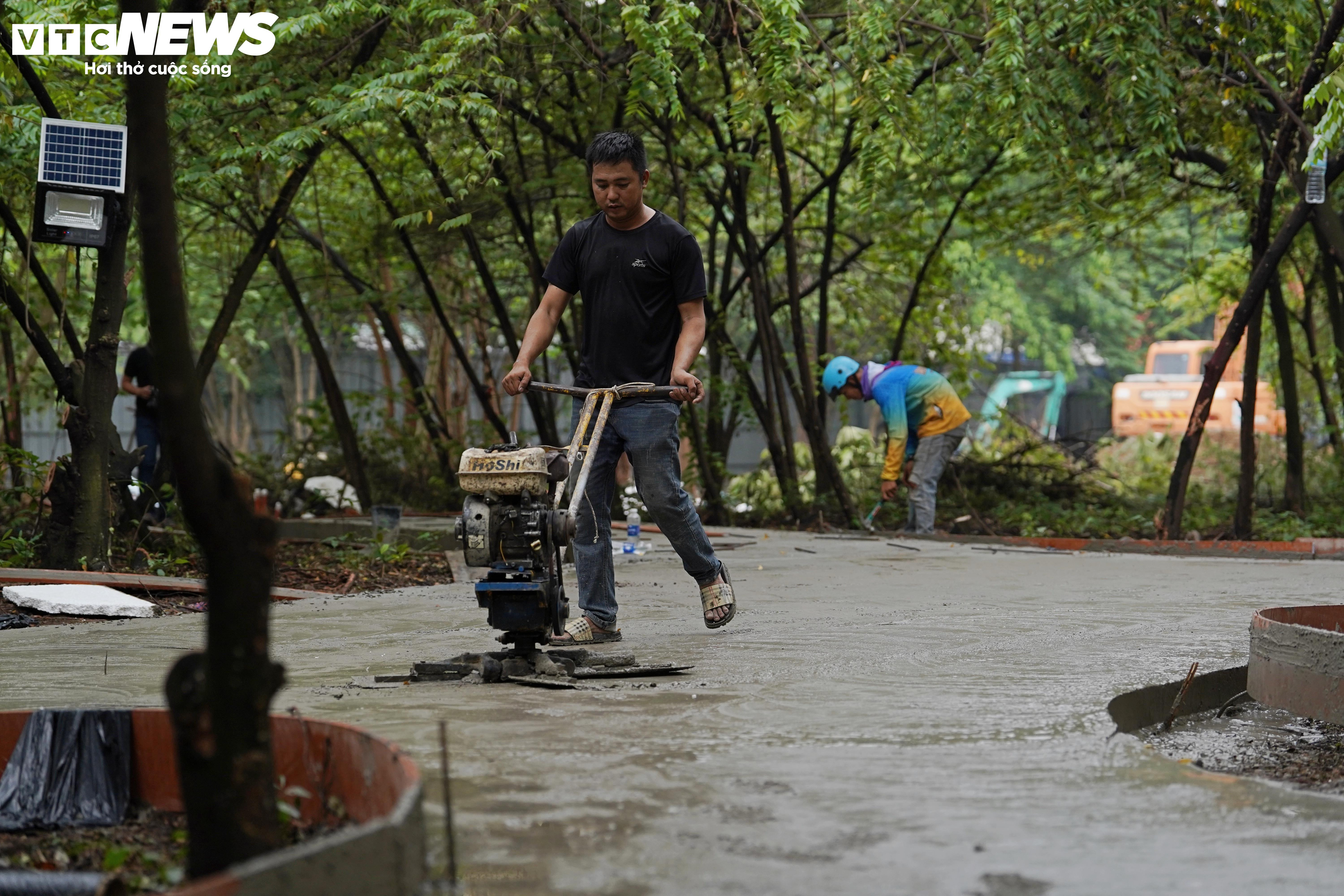 Tất bật dọn dẹp khu ‘đất vàng’ ở TP.HCM làm công viên, vườn hoa Tết Bính Ngọ - 6