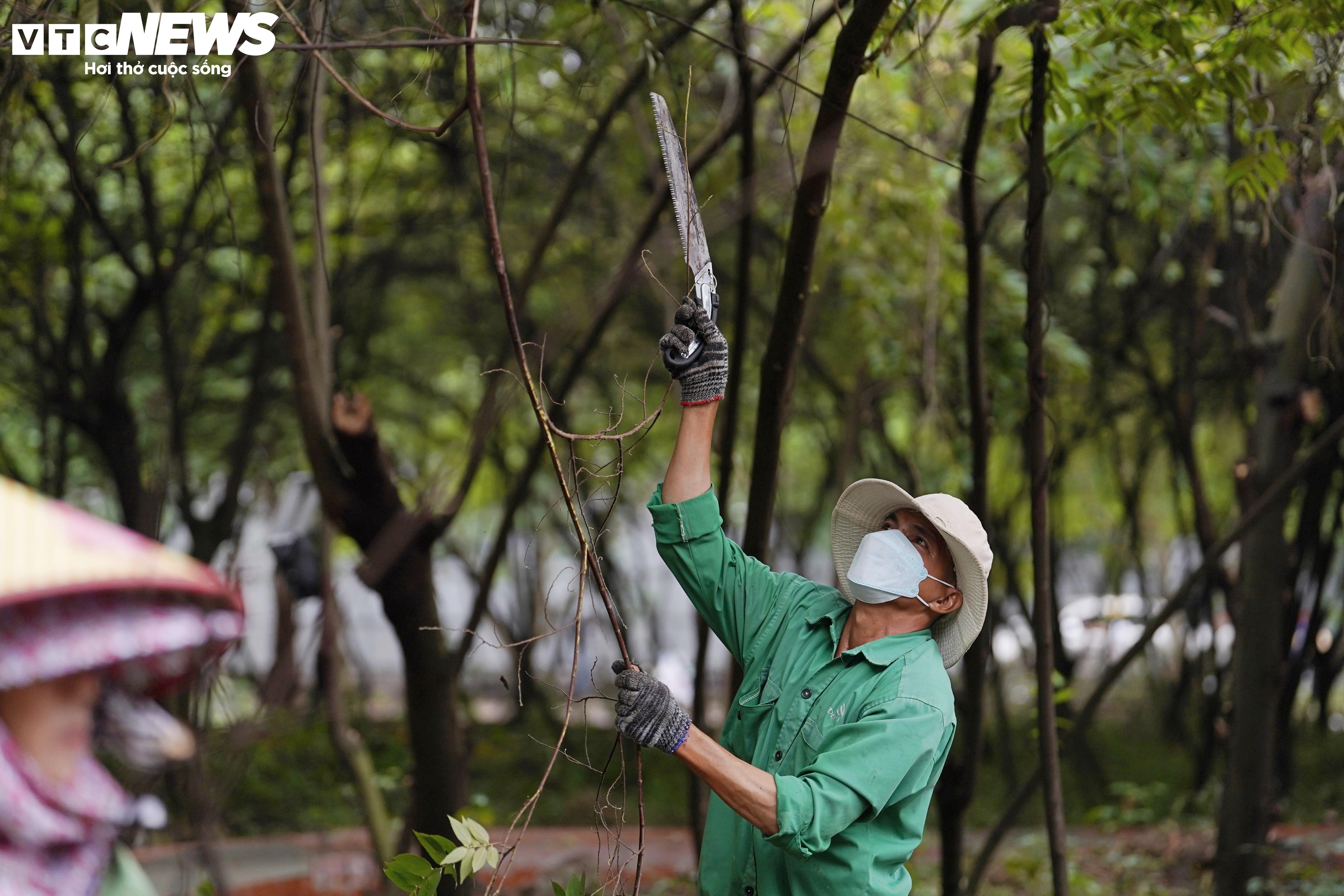 Tất bật dọn dẹp khu ‘đất vàng’ ở TP.HCM làm công viên, vườn hoa Tết Bính Ngọ - 9