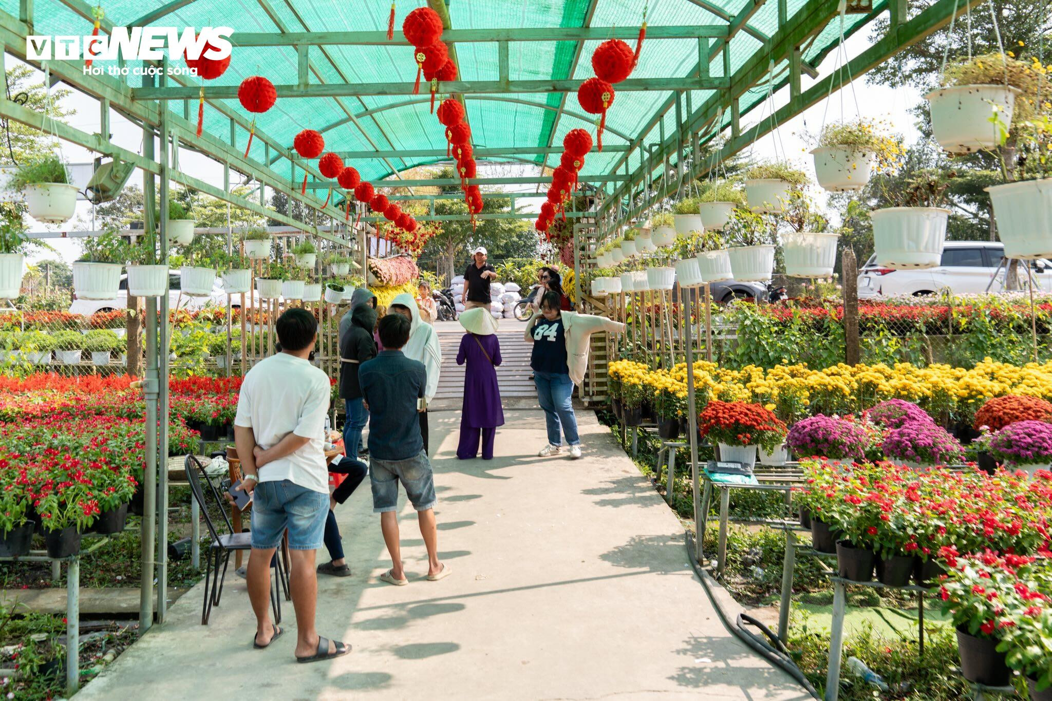 Thủ phủ hoa lớn nhất miền Tây bừng sắc, du khách tranh thủ 'check -in' - 12