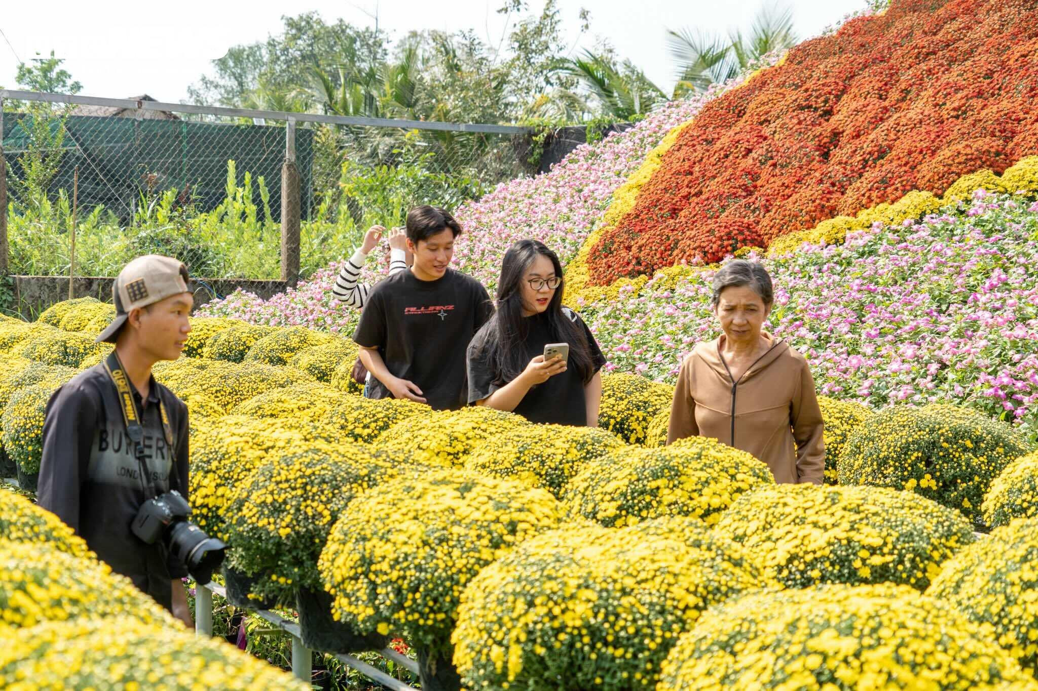 Thủ phủ hoa lớn nhất miền Tây bừng sắc, du khách tranh thủ 'check -in' - 14