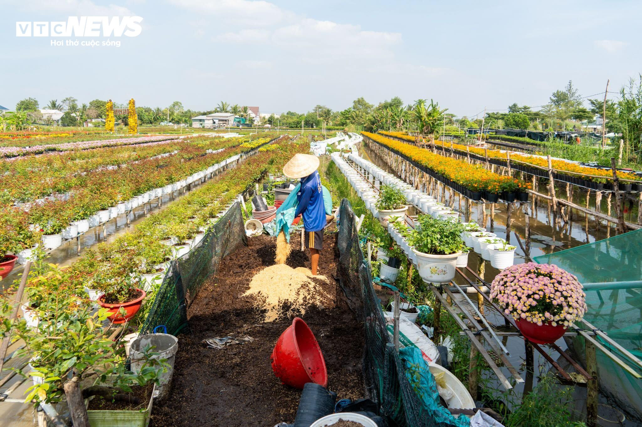 Thủ phủ hoa lớn nhất miền Tây bừng sắc, du khách tranh thủ 'check -in' - 8