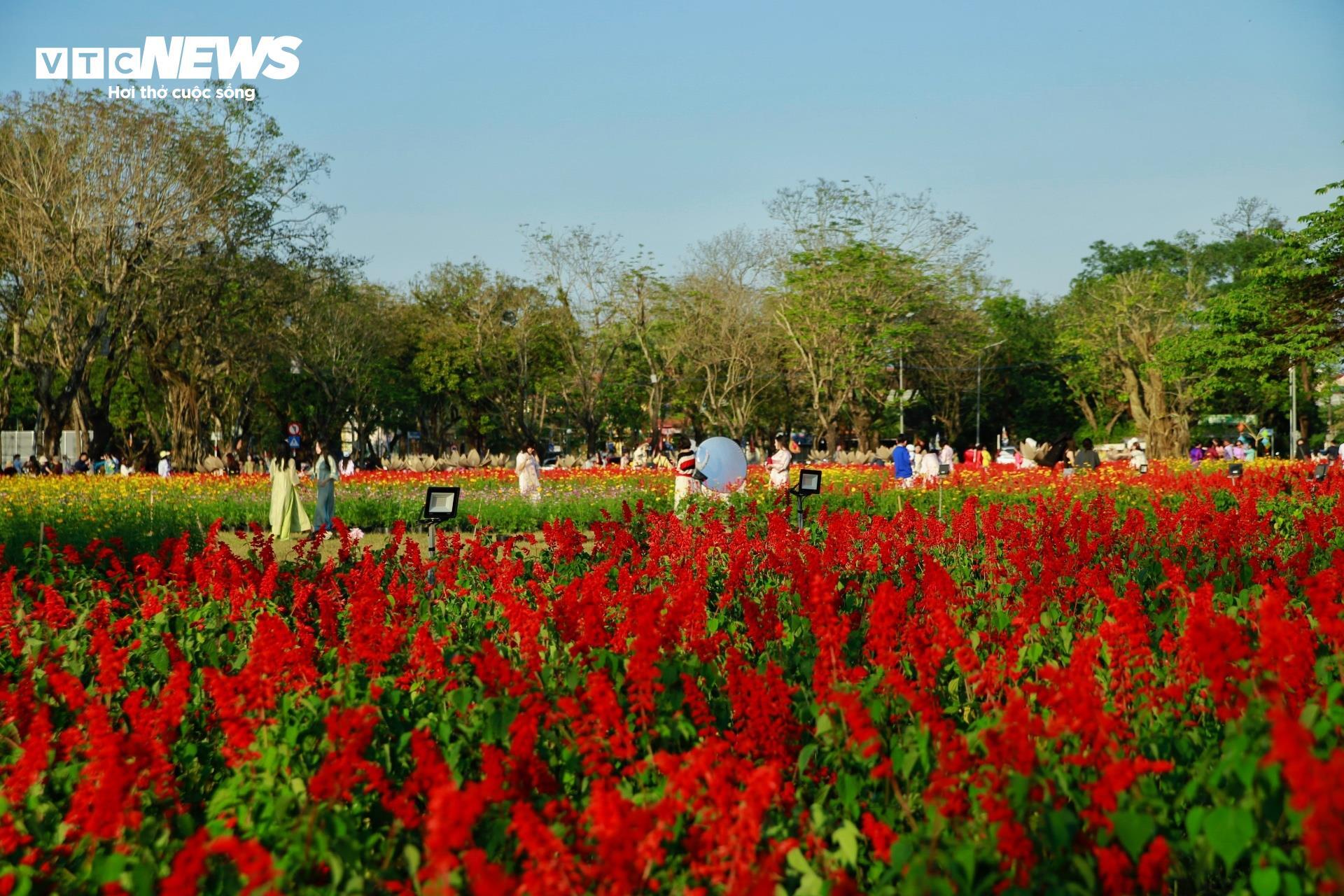 Đoá sen khổng lồ trong Kinh thành Huế và linh vật ngựa hút khách dịp cận Tết - 4