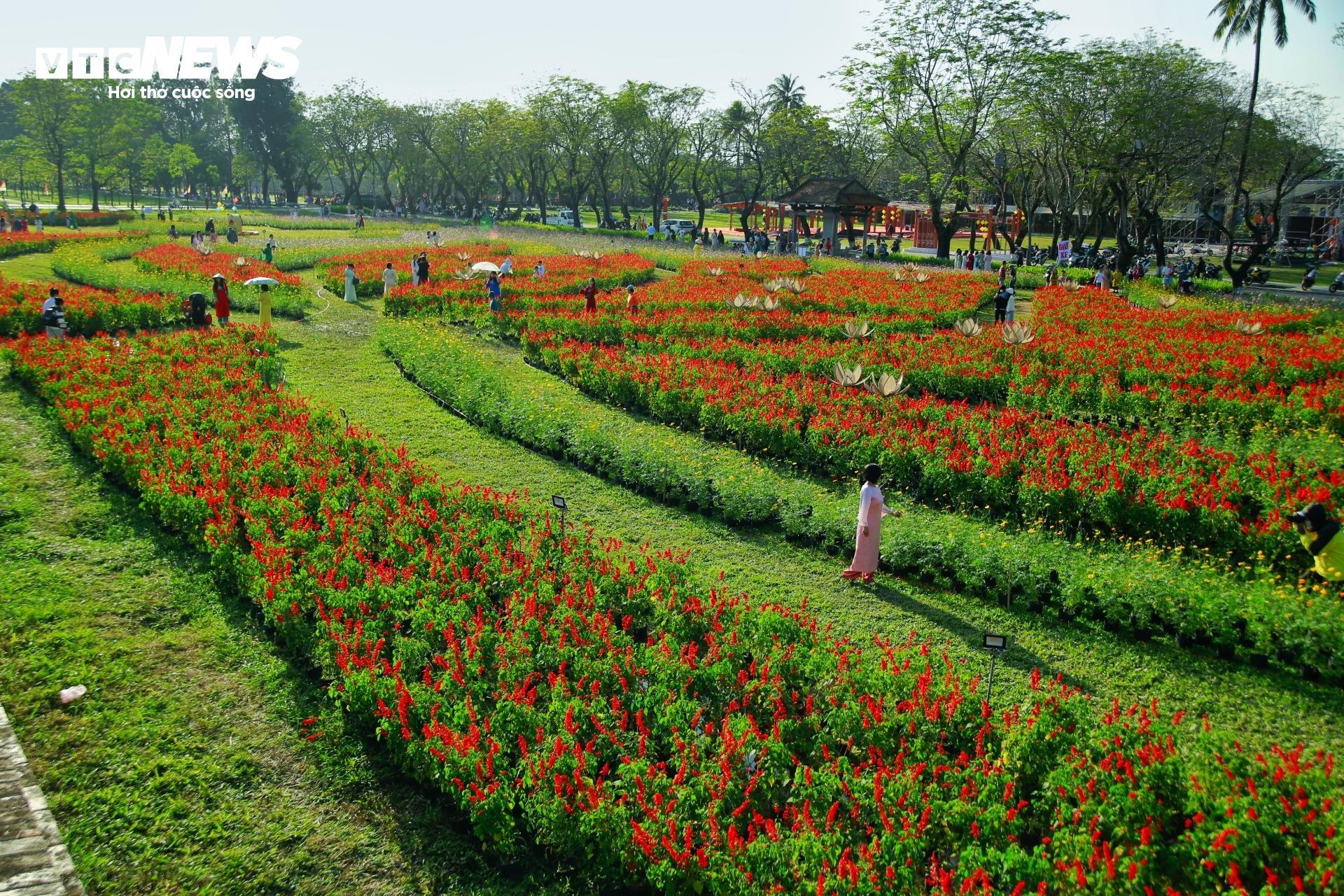 Đoá sen khổng lồ trong Kinh thành Huế và linh vật ngựa hút khách dịp cận Tết - 6