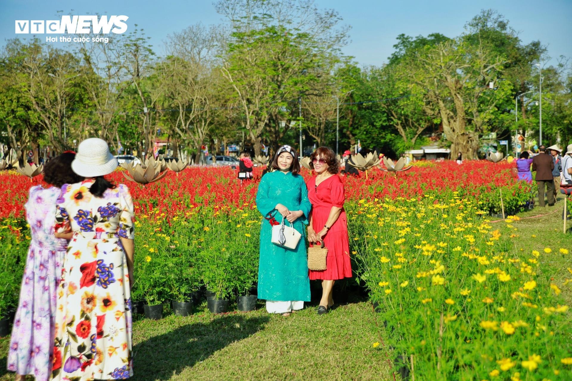 Đoá sen khổng lồ trong Kinh thành Huế và linh vật ngựa hút khách dịp cận Tết - 5