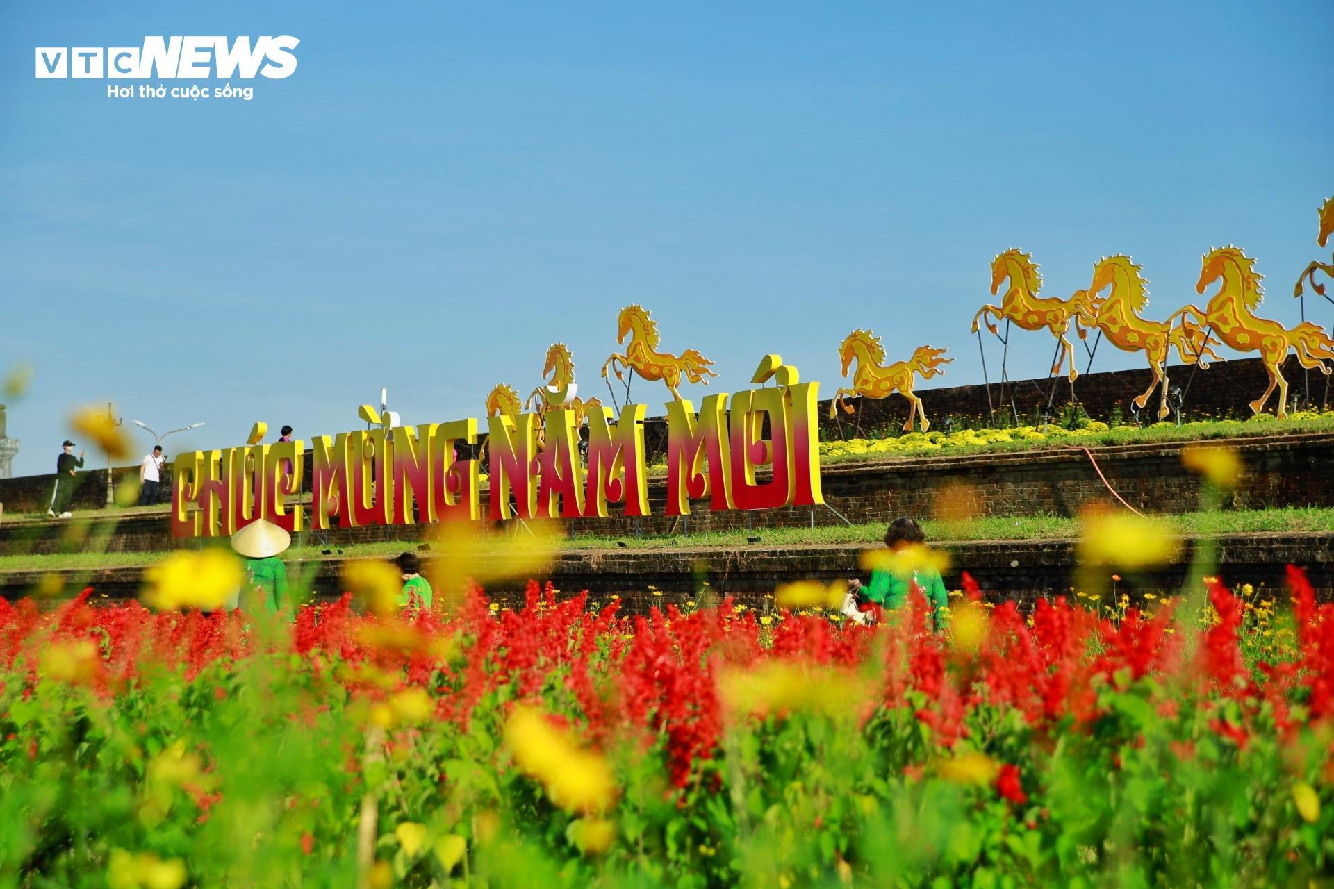 Đoá sen khổng lồ trong Kinh thành Huế và linh vật ngựa hút khách dịp cận Tết - 7