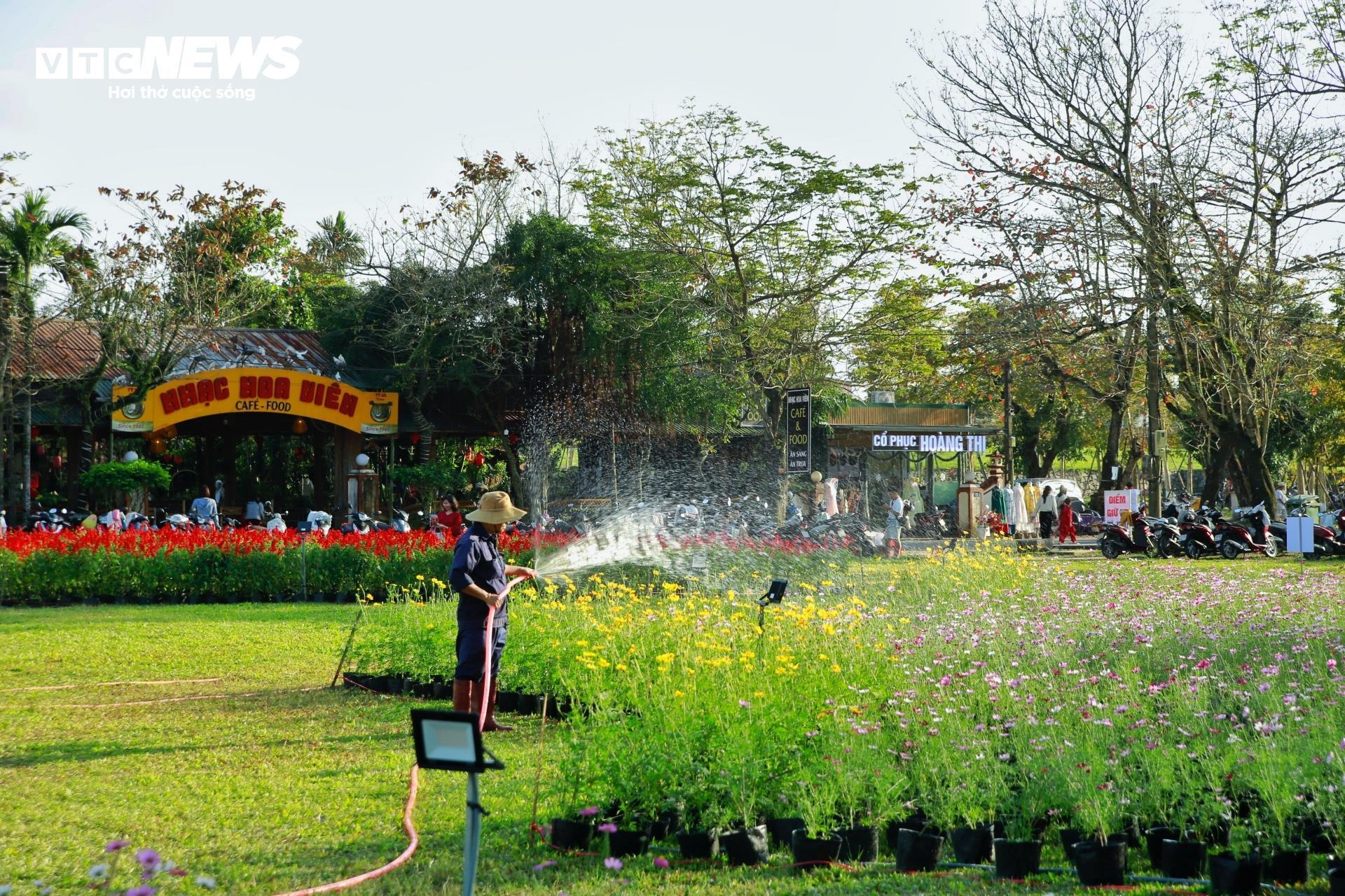 Đoá sen khổng lồ trong Kinh thành Huế và linh vật ngựa hút khách dịp cận Tết - 10