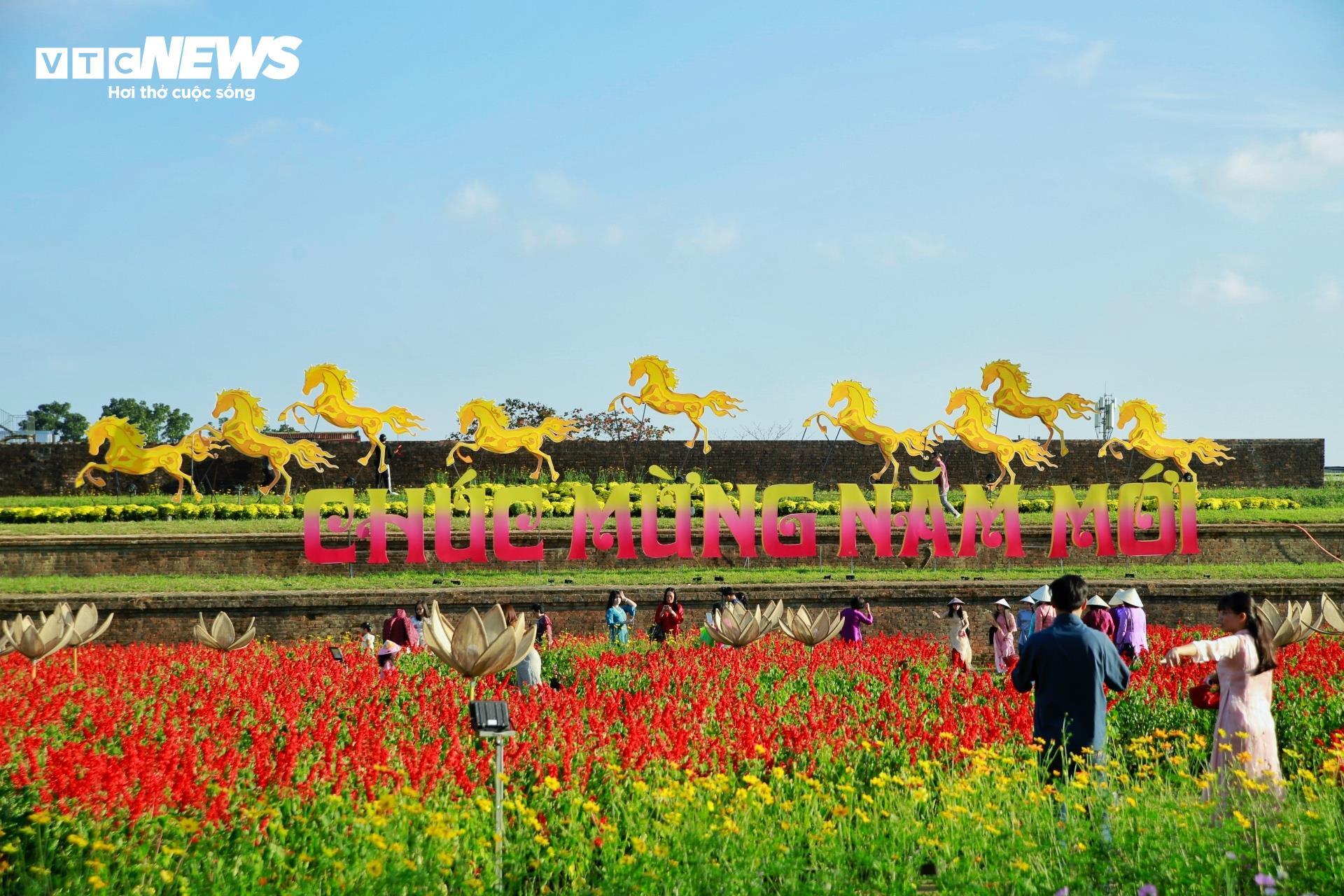 Đoá sen khổng lồ trong Kinh thành Huế và linh vật ngựa hút khách dịp cận Tết - 8