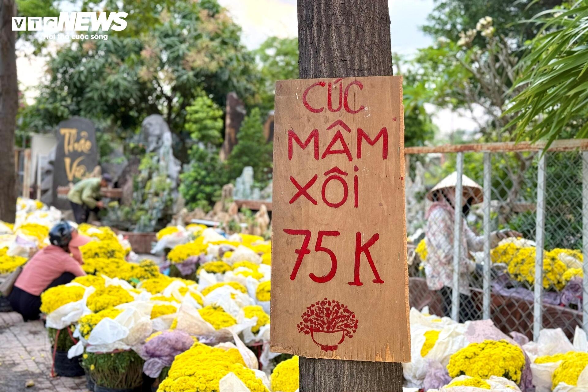 Hoa Tết TP.HCM bán chạy, nhiều nhà vườn 'cháy' hàng sớm - 15