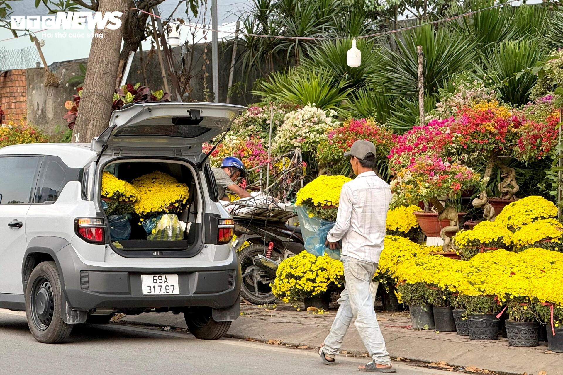 Hoa Tết TP.HCM bán chạy, nhiều nhà vườn 'cháy' hàng sớm - 7