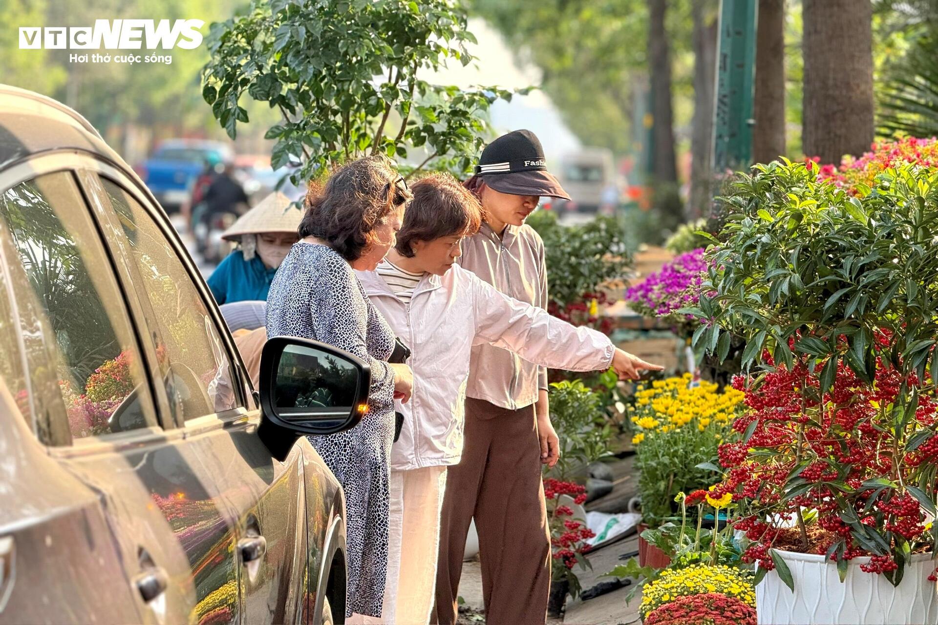 Hoa Tết TP.HCM bán chạy, nhiều nhà vườn 'cháy' hàng sớm - 19