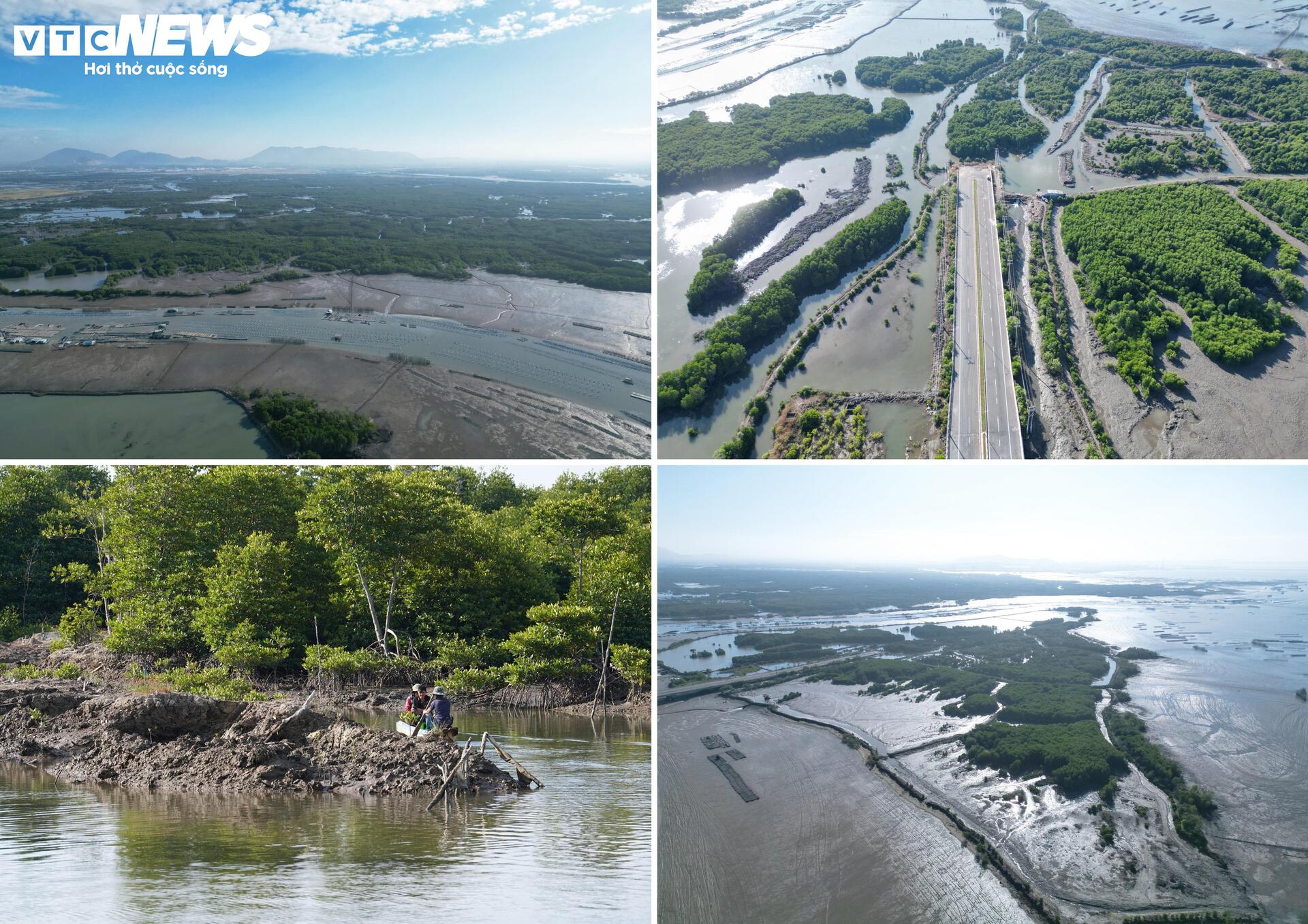 Cận cảnh dự án Cảng Cái Mép Hạ vừa được phê duyệt đầu tư gần 2 tỷ USD - 3