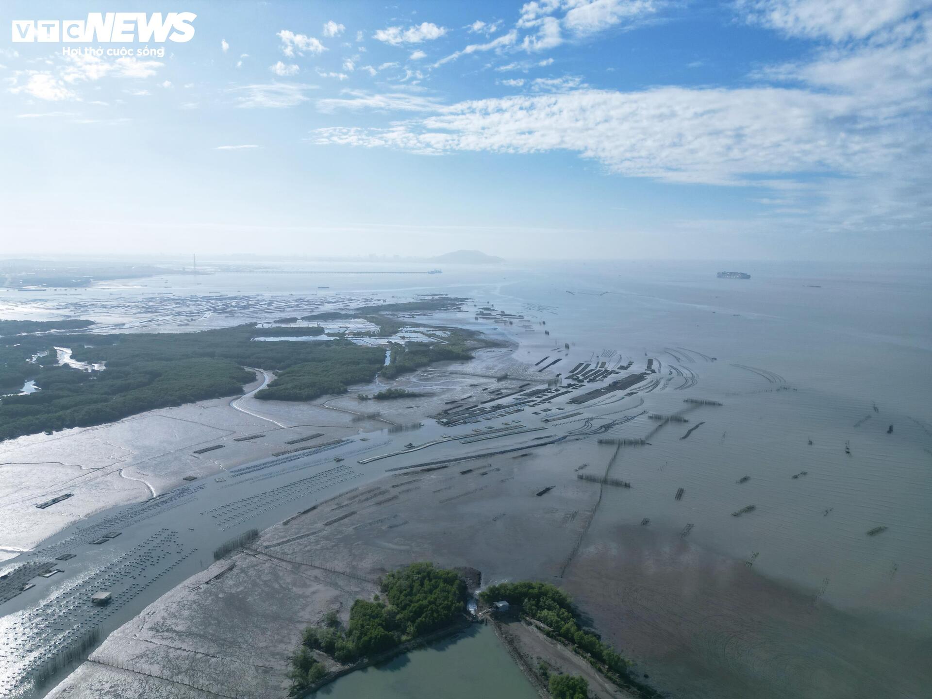 Cận cảnh dự án Cảng Cái Mép Hạ vừa được phê duyệt đầu tư gần 2 tỷ USD - 7