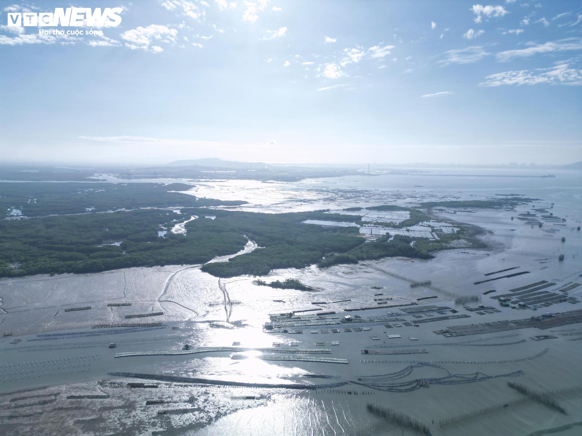 Cận cảnh dự án Cảng Cái Mép Hạ vừa được phê duyệt đầu tư gần 2 tỷ USD - 9