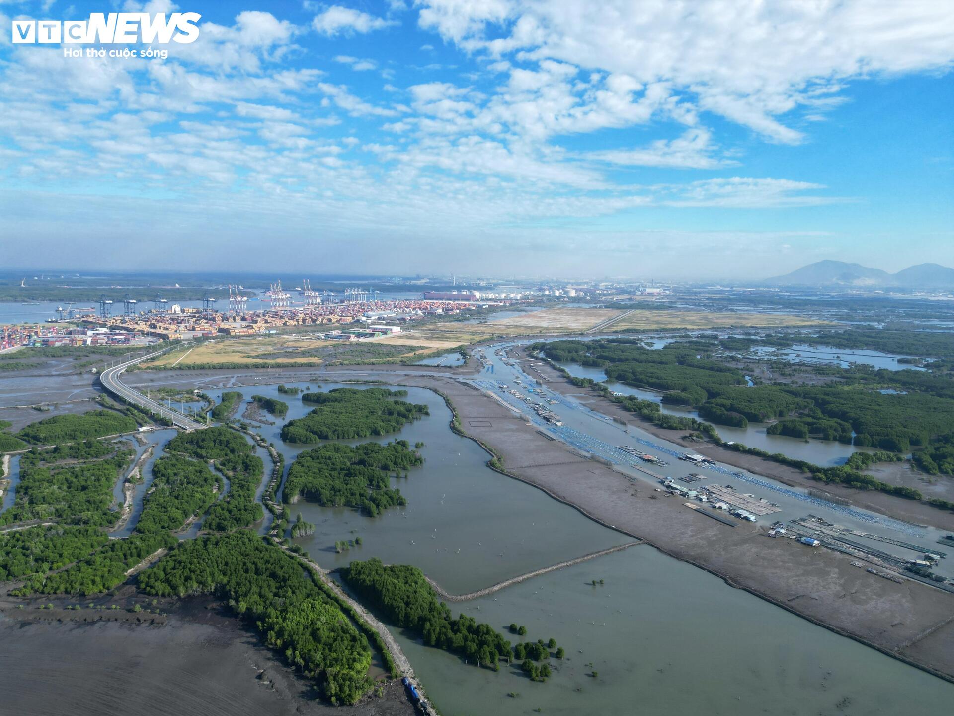 Cận cảnh dự án Cảng Cái Mép Hạ vừa được phê duyệt đầu tư gần 2 tỷ USD - 11
