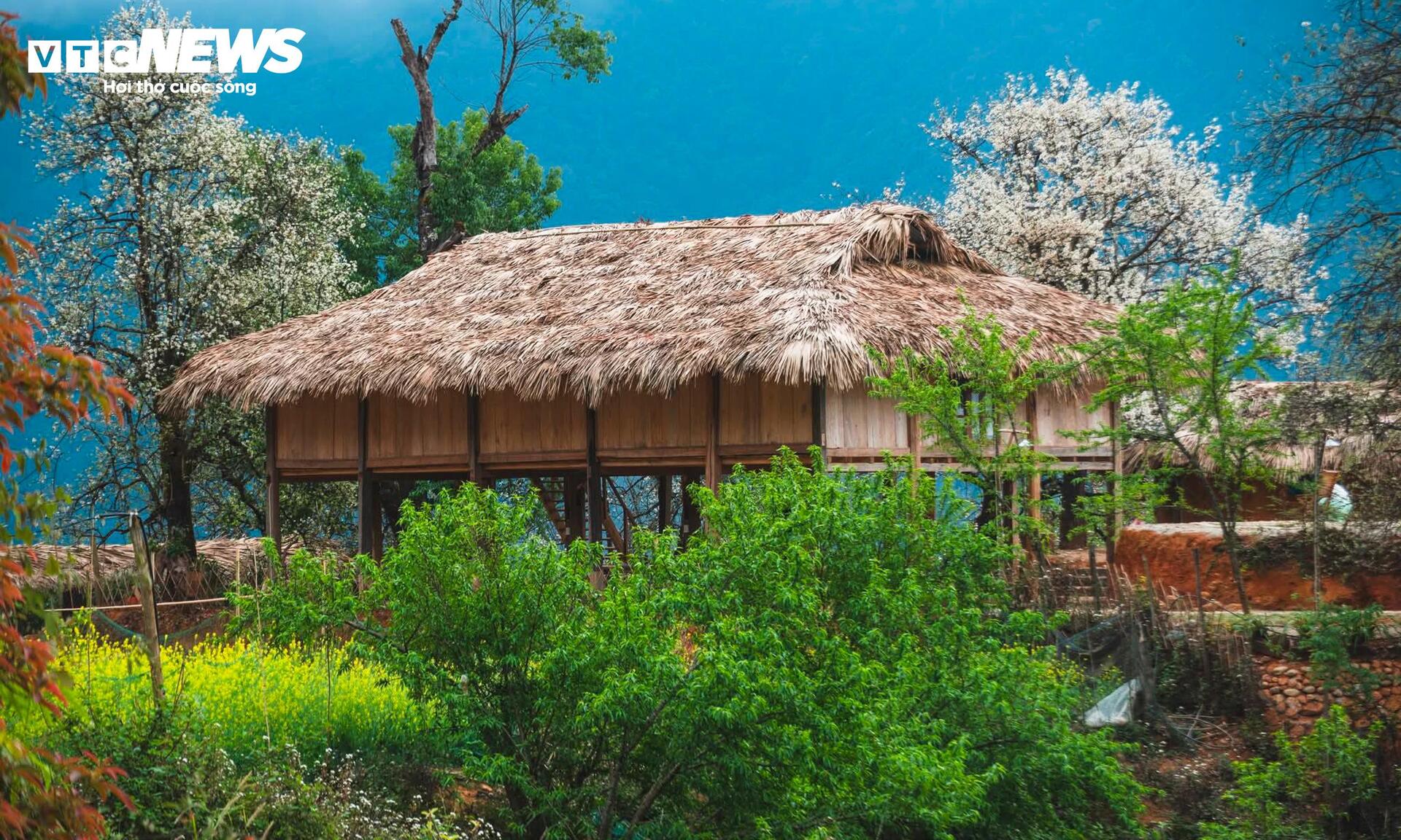 Thiên đường hoa sơn tra giữa đại ngàn Tây Bắc vào mùa đẹp nhất năm - 5