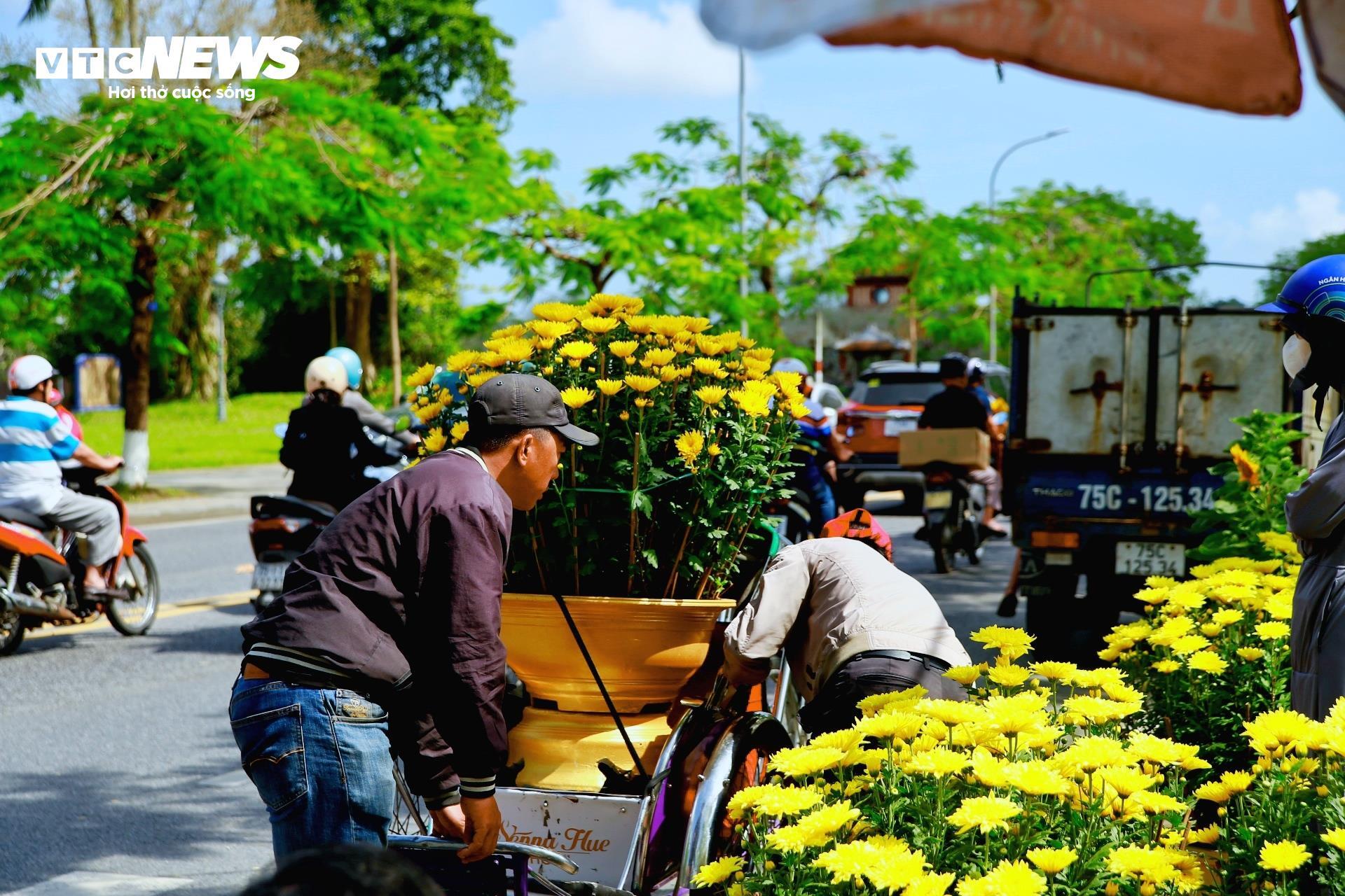 Tiểu thương chợ hoa cúc Tết xứ Huế vui mừng vì khách hàng tăng đột biến - 9