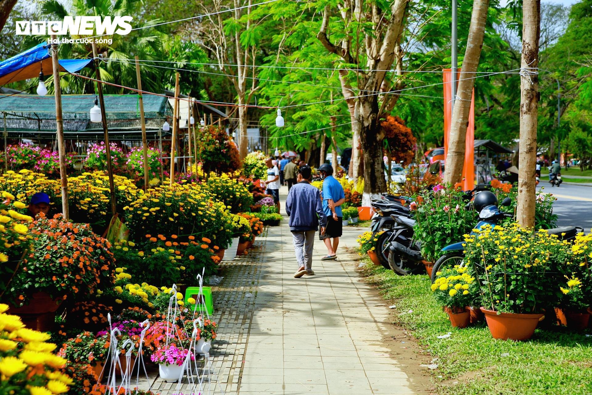 Tiểu thương chợ hoa cúc Tết xứ Huế vui mừng vì khách hàng tăng đột biến - 2