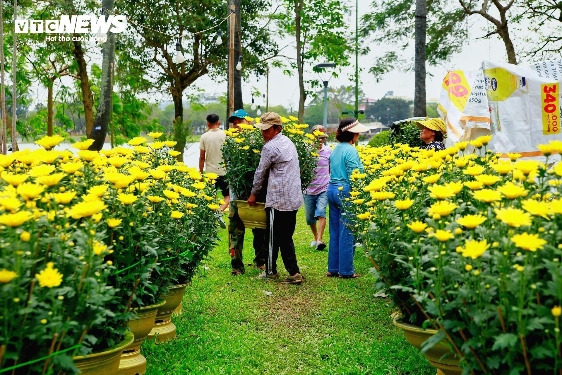 Tiểu thương chợ hoa cúc Tết xứ Huế vui mừng vì khách hàng tăng đột biến - 3