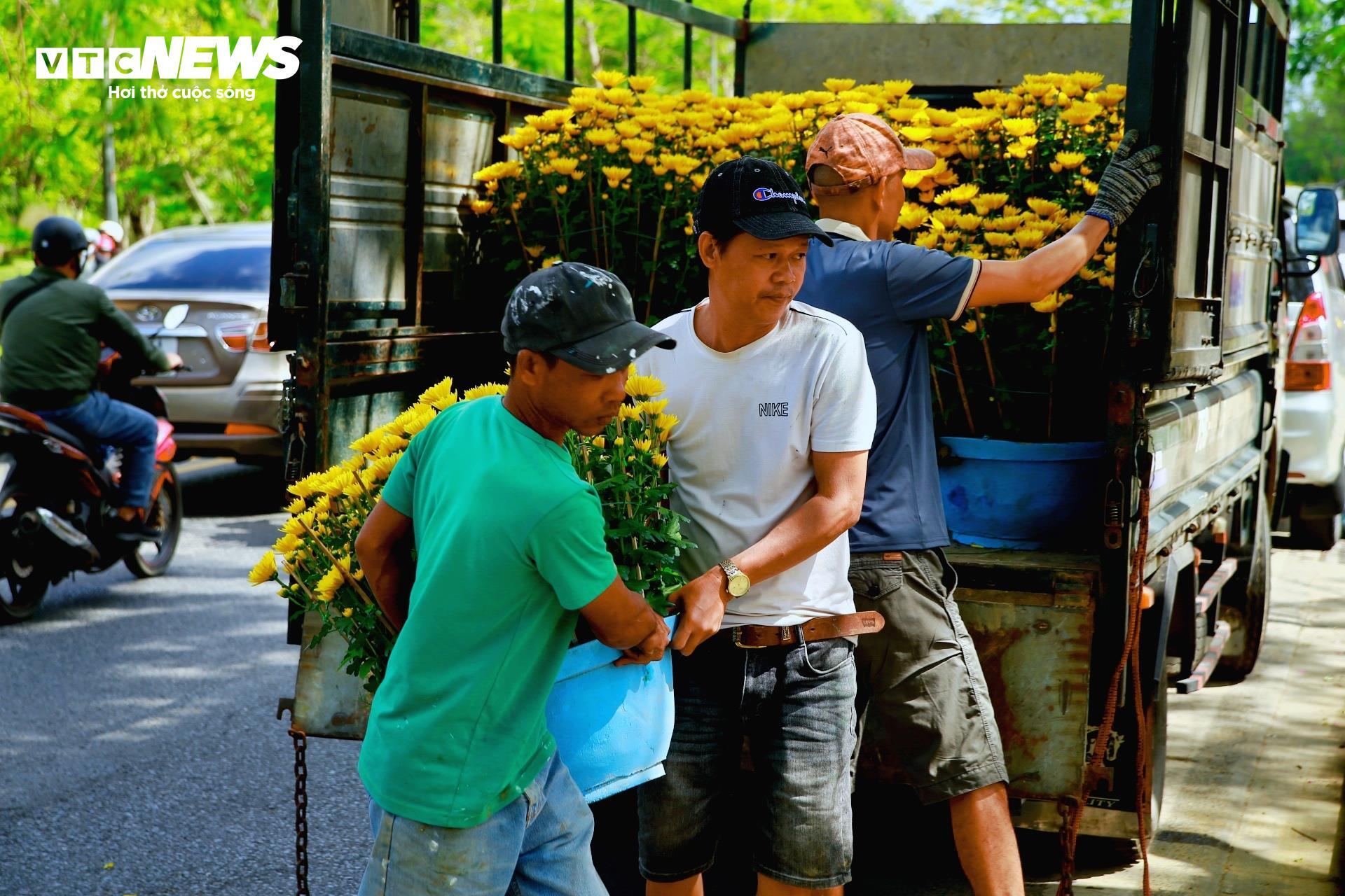 Tiểu thương chợ hoa cúc Tết xứ Huế vui mừng vì khách hàng tăng đột biến - 4
