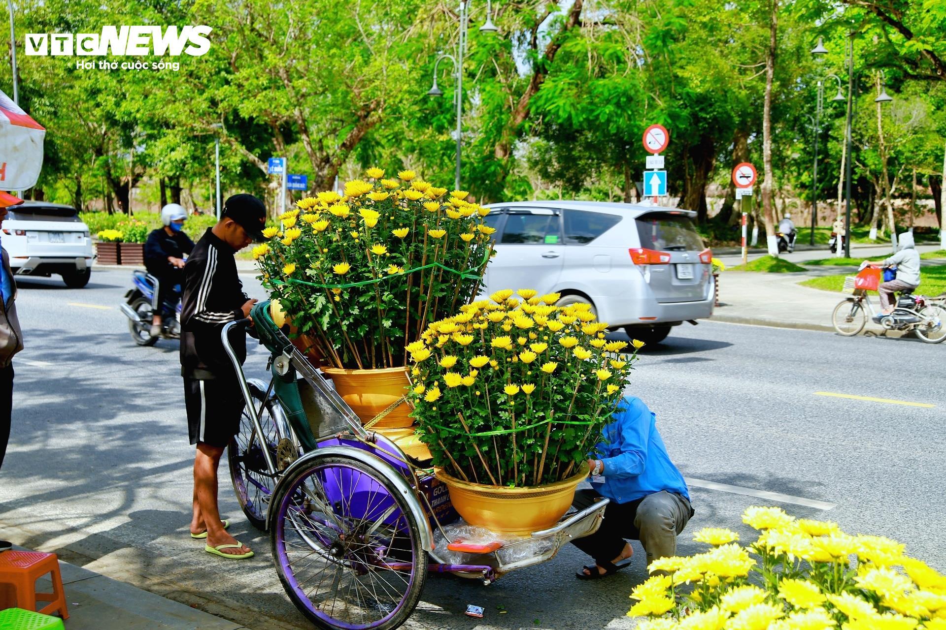 Tiểu thương chợ hoa cúc Tết xứ Huế vui mừng vì khách hàng tăng đột biến - 5