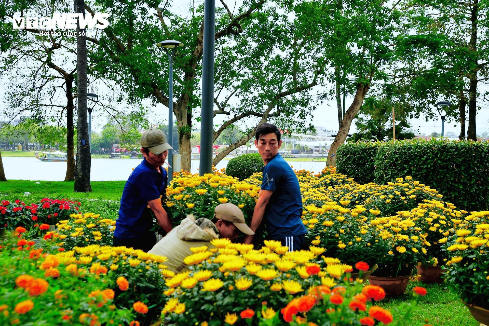 Tiểu thương chợ hoa cúc Tết xứ Huế vui mừng vì khách hàng tăng đột biến - 8