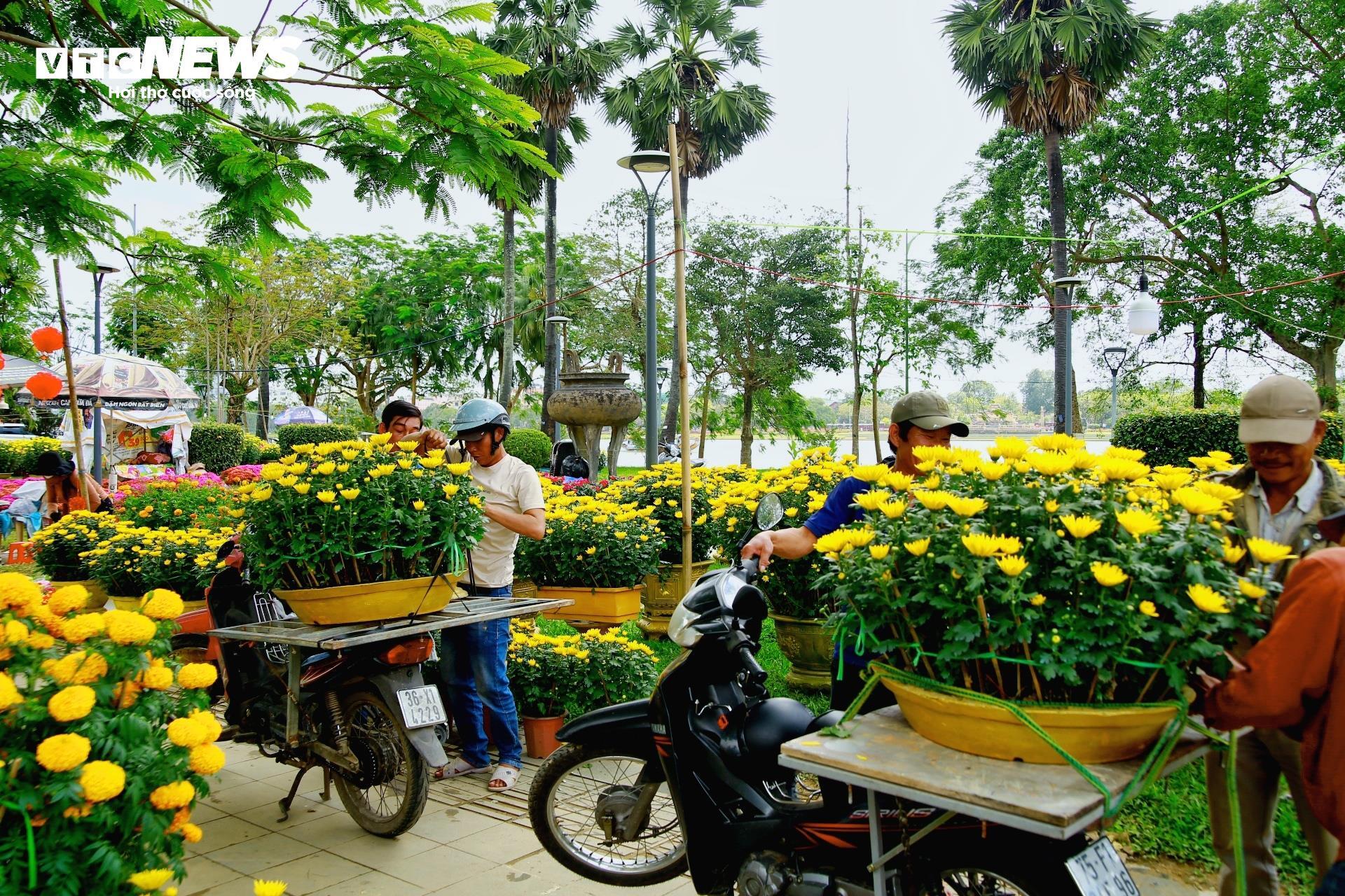 Tiểu thương chợ hoa cúc Tết xứ Huế vui mừng vì khách hàng tăng đột biến - 7