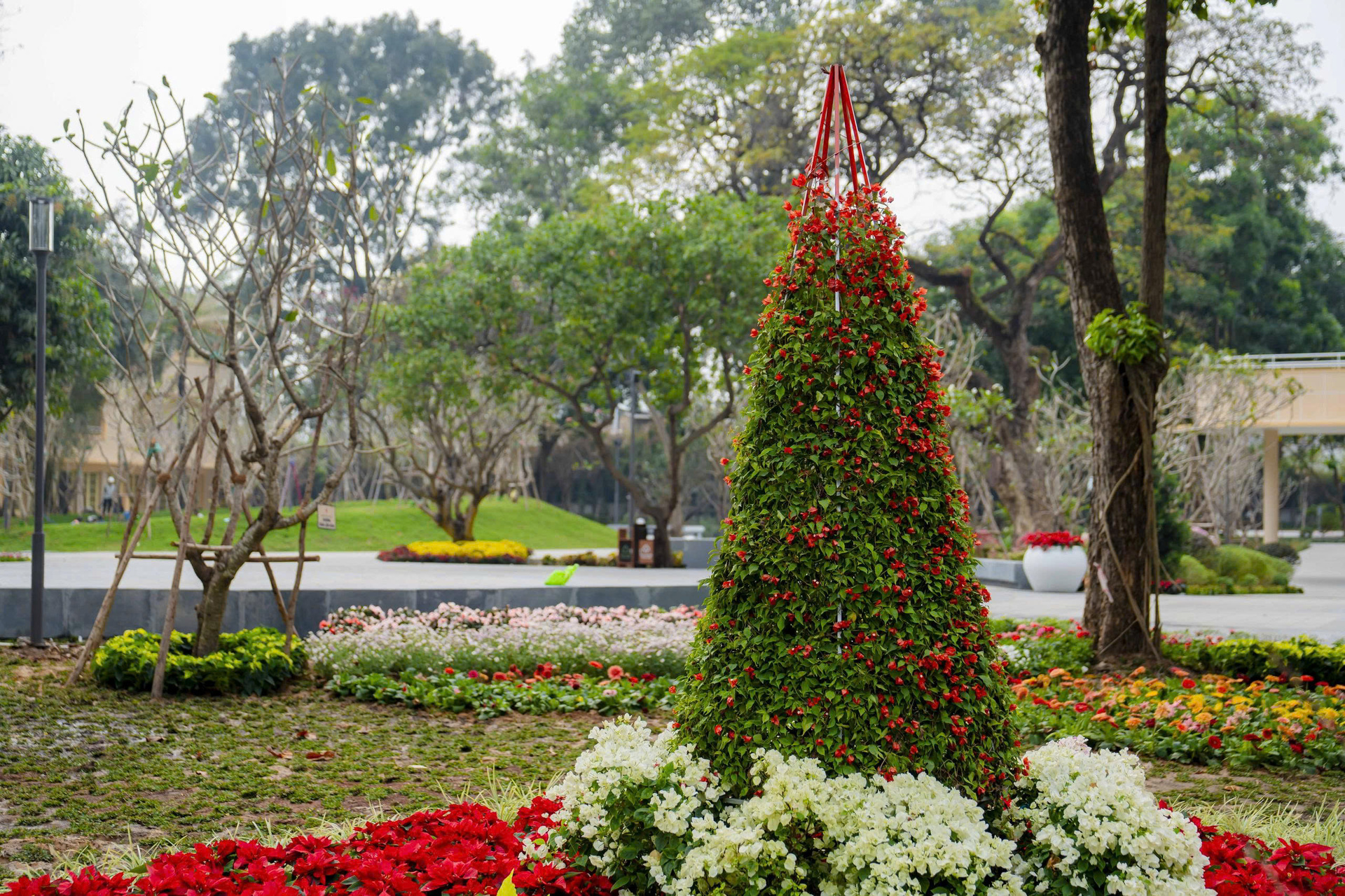 Vườn xuân bên trong công viên tưởng niệm nạn nhân COVID-19 ở TP.HCM - 17