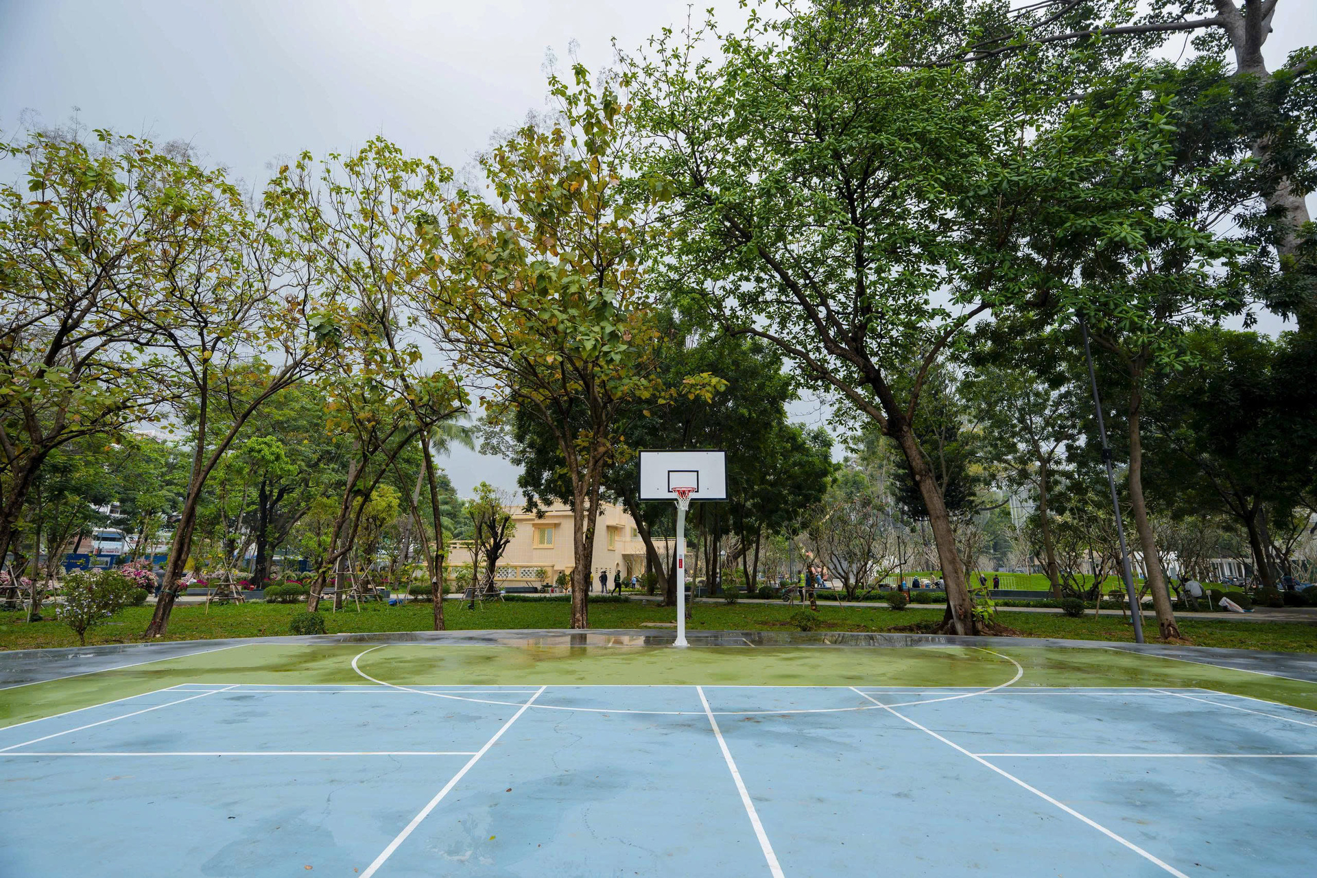 Vườn xuân bên trong công viên tưởng niệm nạn nhân COVID-19 ở TP.HCM - 8