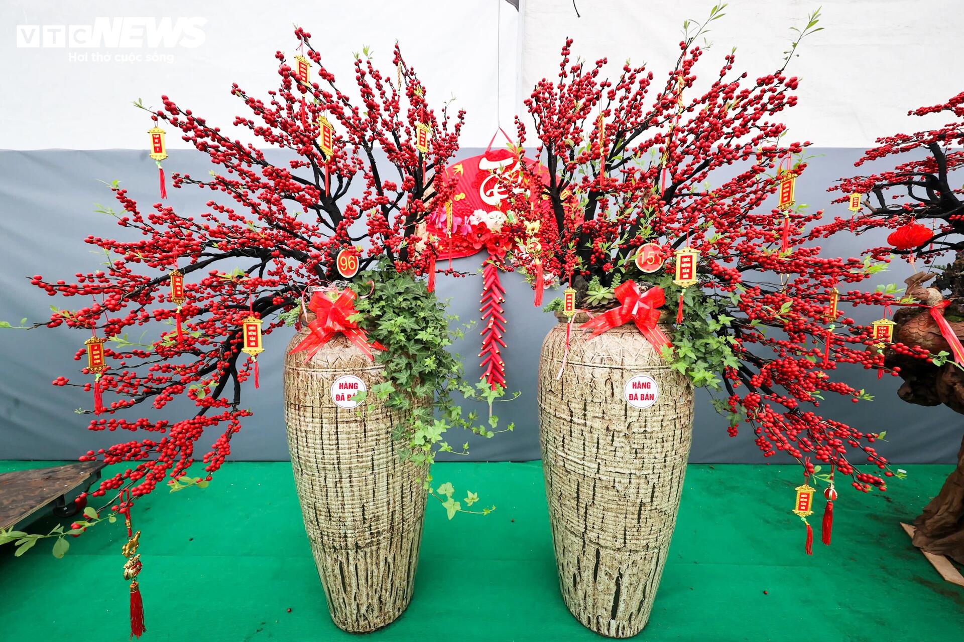 Đào đông khoe sắc đỏ rực đón Tết, giá lên đến vài trăm triệu đồng - 12