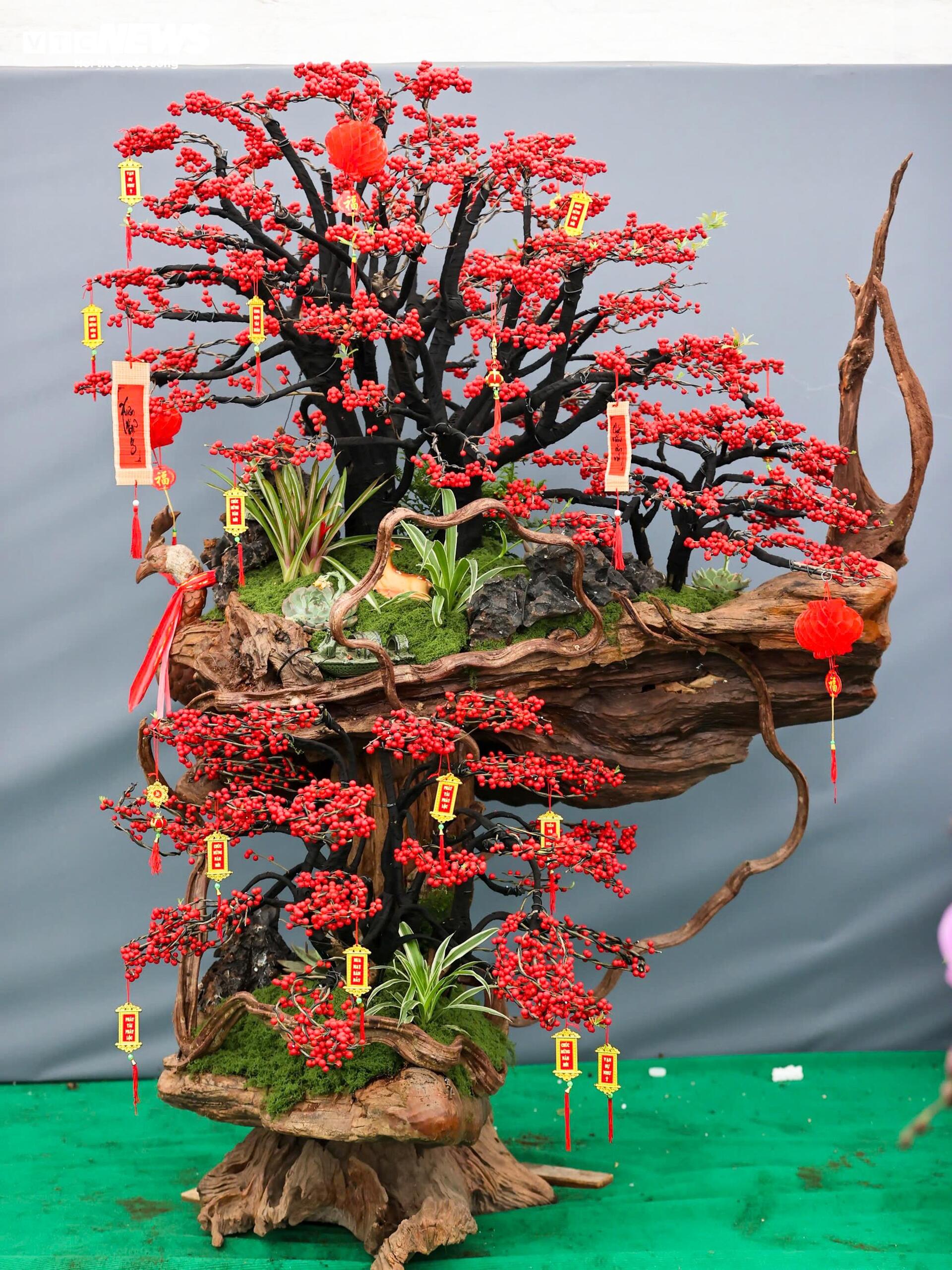 Đào đông khoe sắc đỏ rực đón Tết, giá lên đến vài trăm triệu đồng - 13