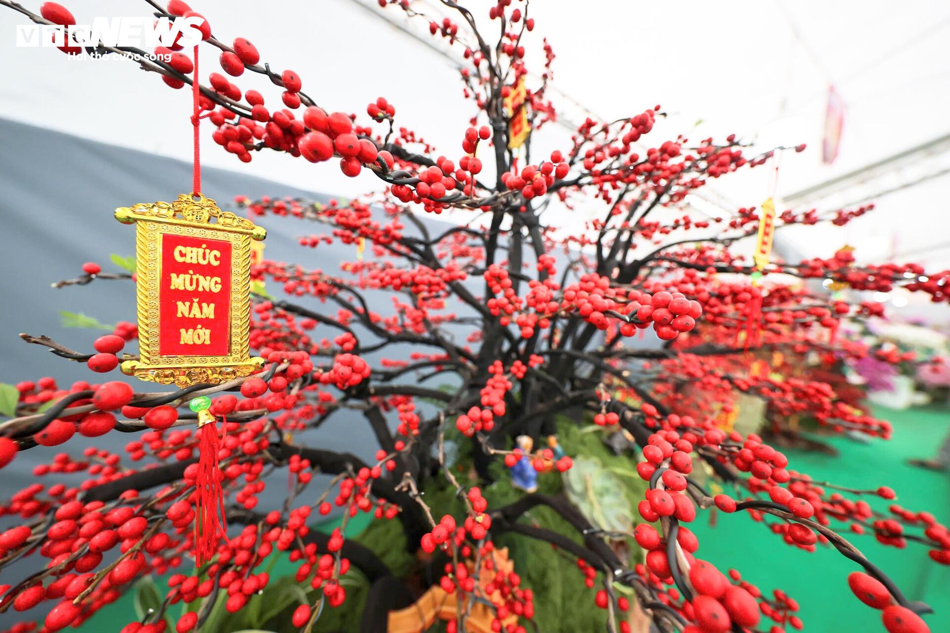 Đào đông khoe sắc đỏ rực đón Tết, giá lên đến vài trăm triệu đồng - 5