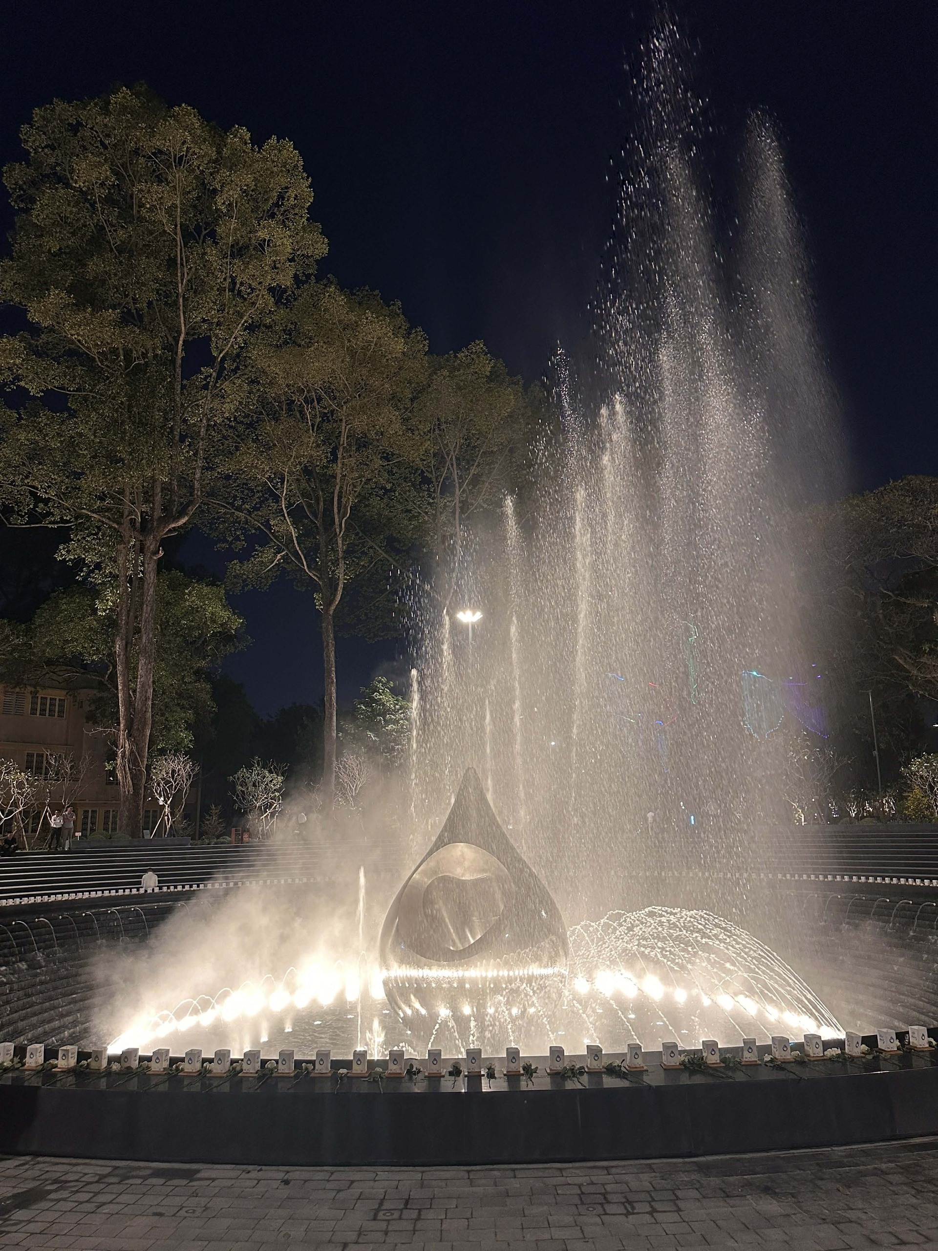 Vườn xuân bên trong công viên tưởng niệm nạn nhân COVID-19 ở TP.HCM - 3