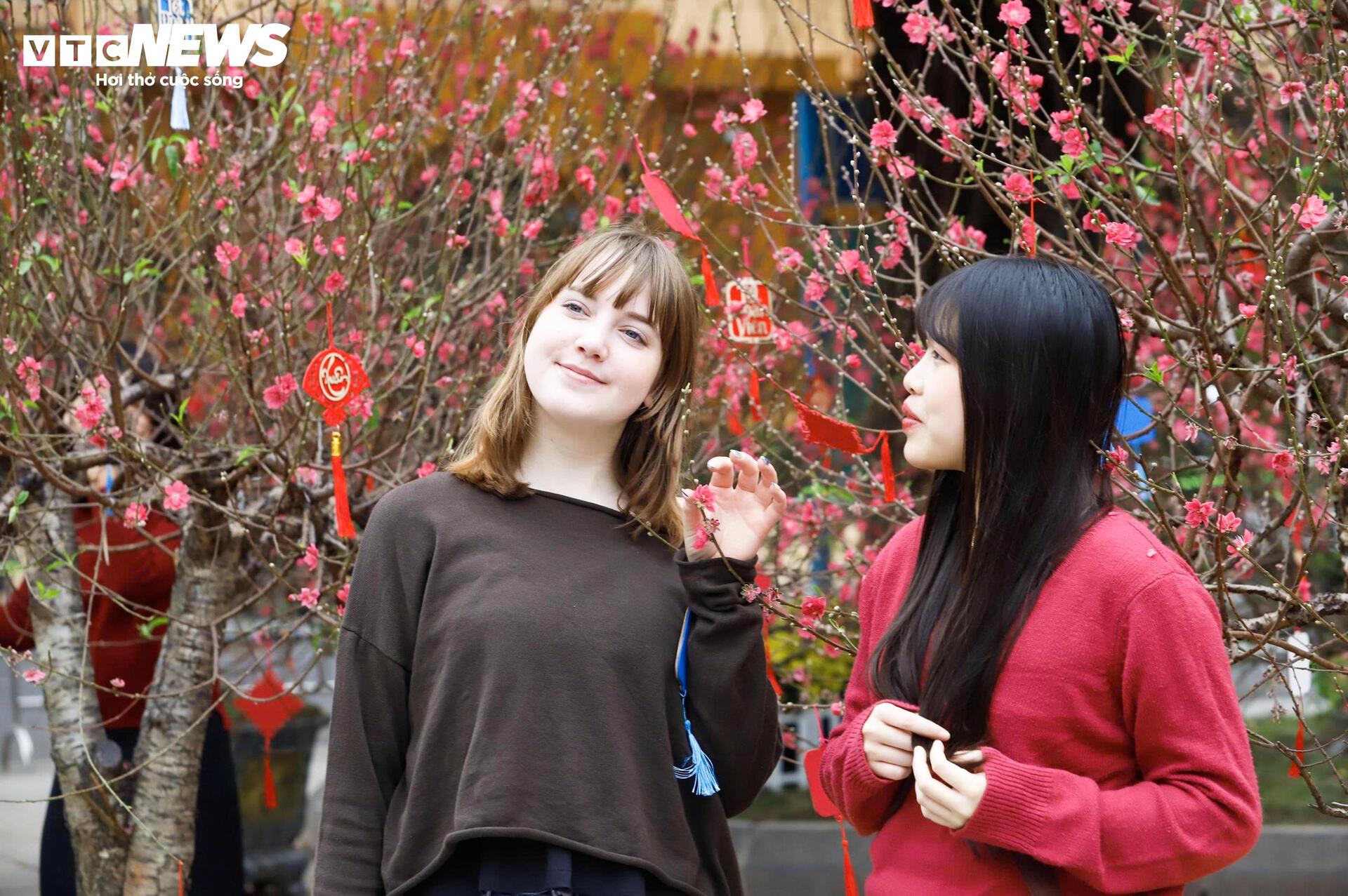 Điểm check-in hoa đào 'hot' nhất Hà Nội những ngày cận Tết - 5