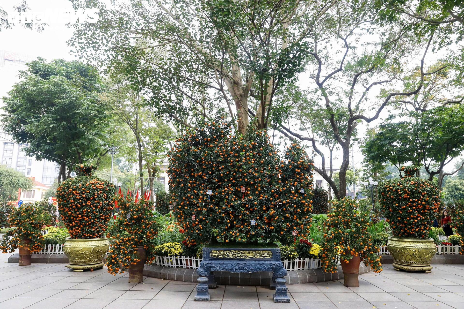 Điểm check-in hoa đào 'hot' nhất Hà Nội những ngày cận Tết - 10